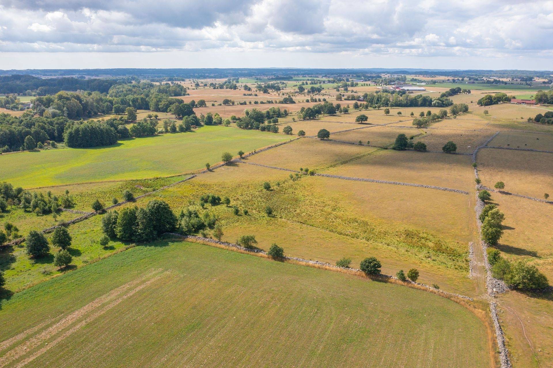Gård med jordbruk på Östra Klasarödsvägen 262-16 Sjöbo kommun - bild 5
