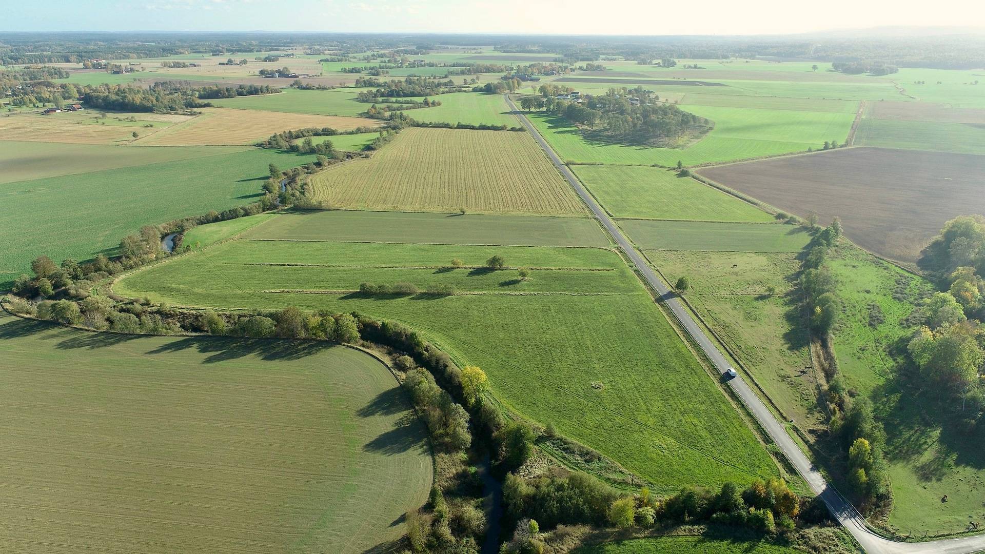 Gård med skogsbruk Binneberg Skövde kommun - bild 5