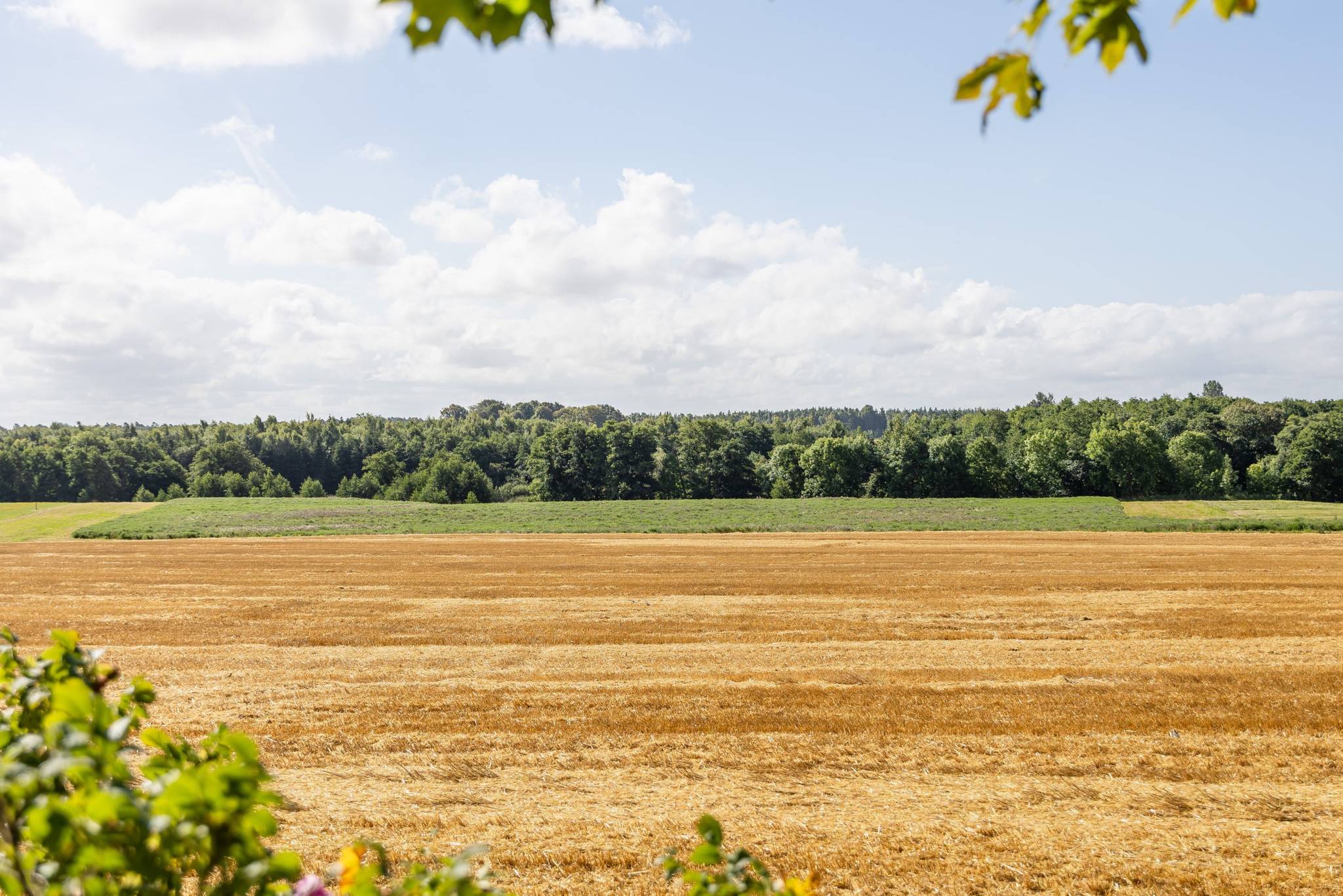 12 rum Villa på Tönnersa 239 Halmstads kommun - bild 7