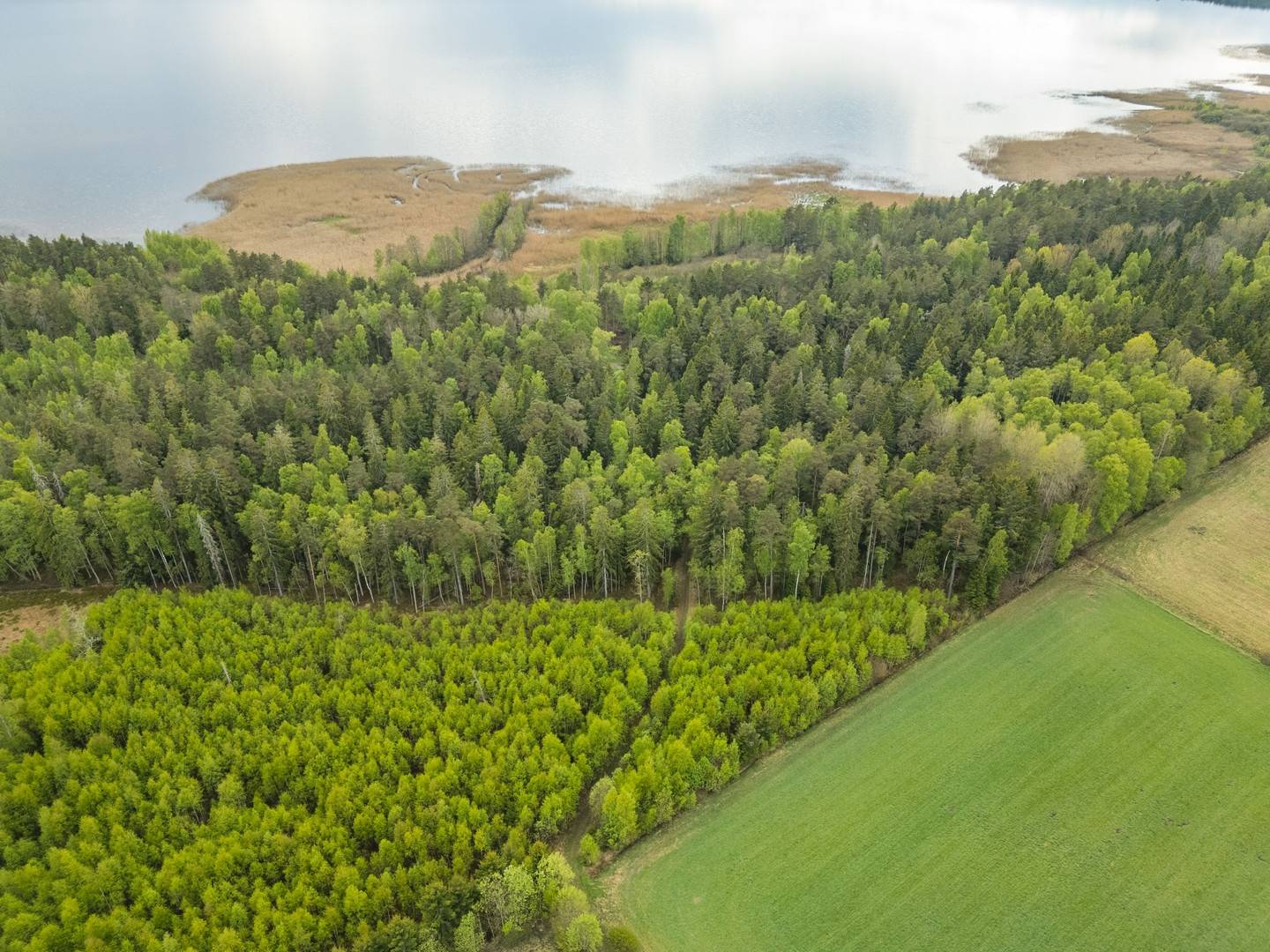 5 rum Gård/skog på Svärtan 11 Svärtan / Grebban Hjo kommun - bild 54