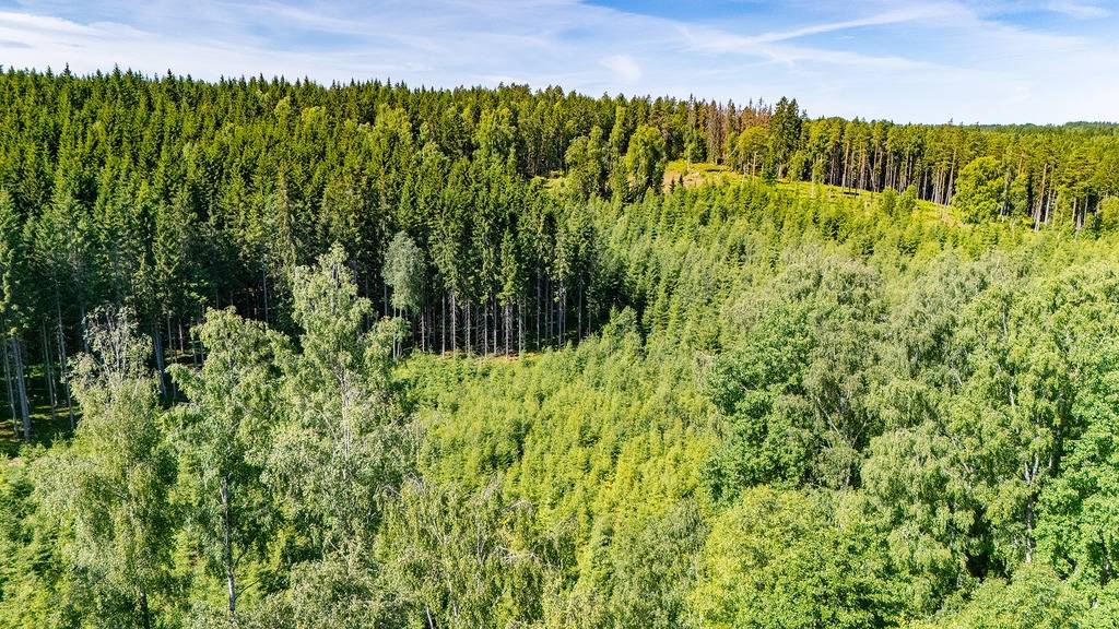 7 rum Gård med skogsbruk på Stategen 2 Torrskog Bengtsfors kommun - bild 10