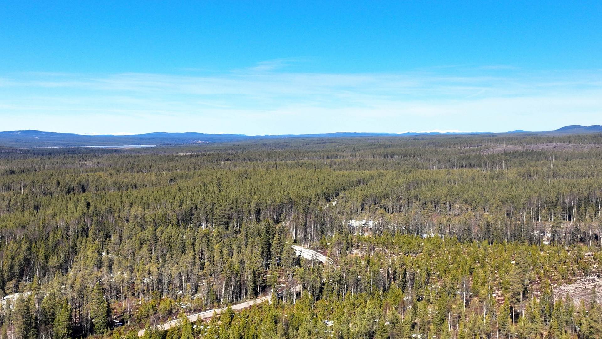 Gård med skogsbruk på ORRMO Härjedalens kommun - bild 7