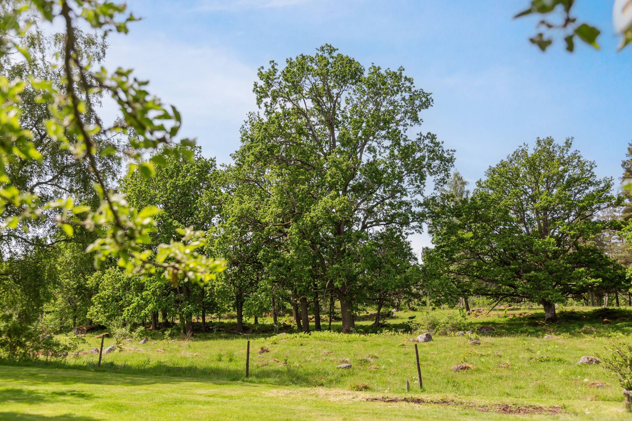 77 m² Gård med jordbruk på Svenstorp 1 Åtvidaberg Åtvidabergs kommun - bild 23