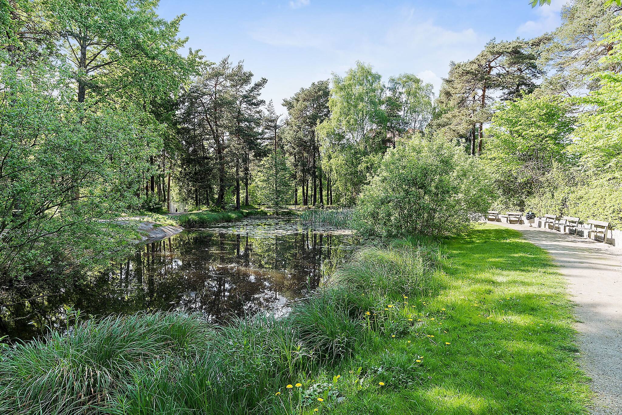 2 rum Lägenhet på Näckrosvägen 39, 6 av 6 tr Råsunda - Näckrosen Solna kommun - bild 23