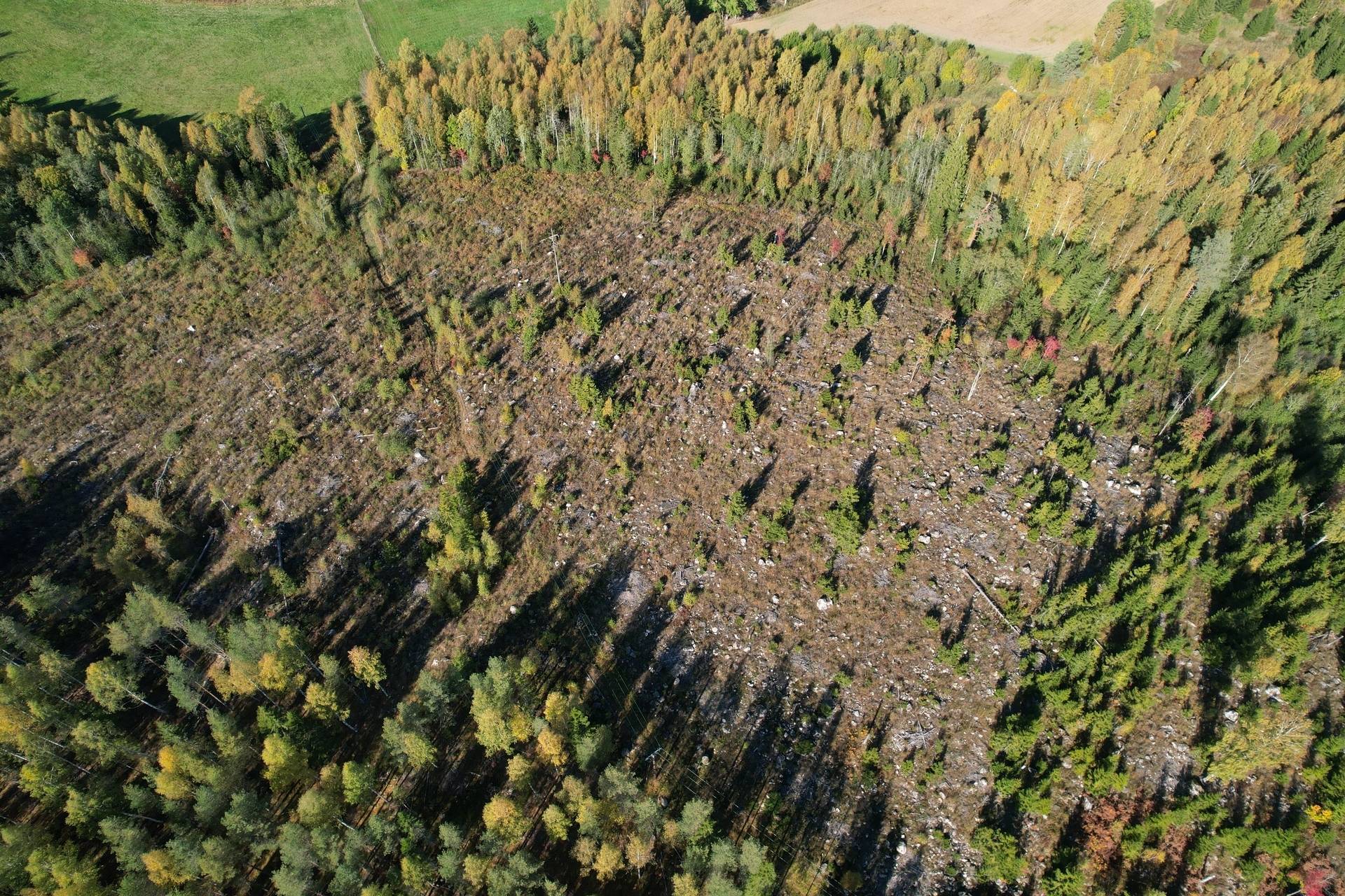Gård med skogsbruk på Landtjärn Sandvikens kommun - bild 20