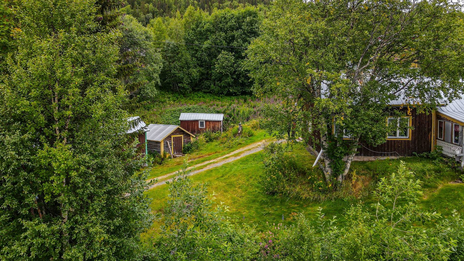 3 rum Gård/skog på Matsdal 42 Dikanäs Vilhelmina kommun - bild 28