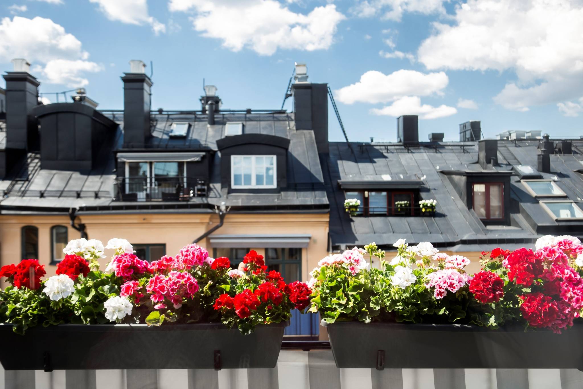 2 rum Lägenhet på Fridhemsgatan 64 A, 5 tr Kungsholmen Stockholms kommun - bild 8