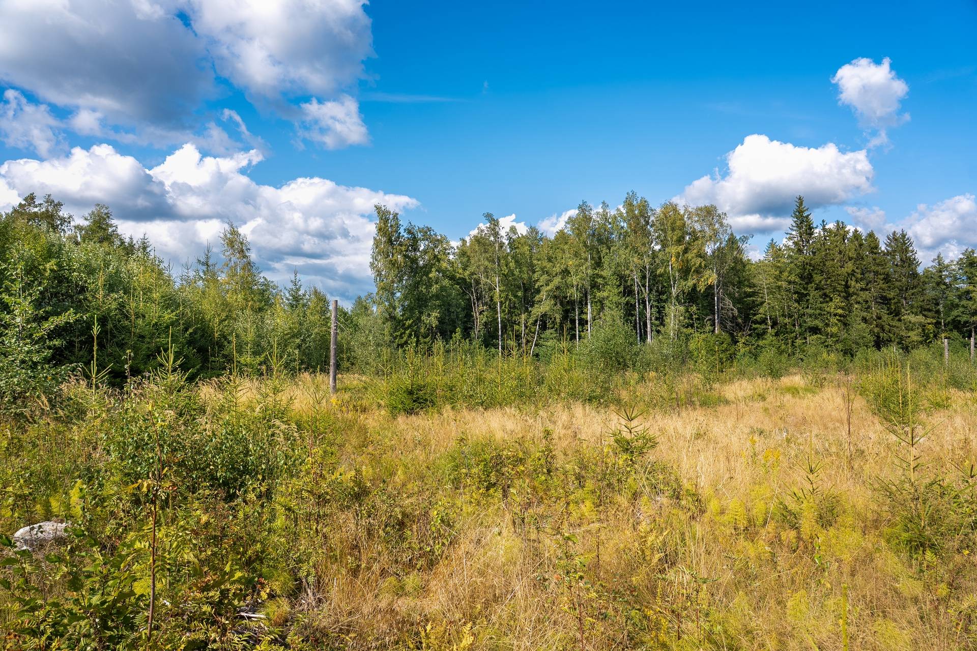 Gård med skogsbruk på Siggerudsnäs Kils kommun - bild 23