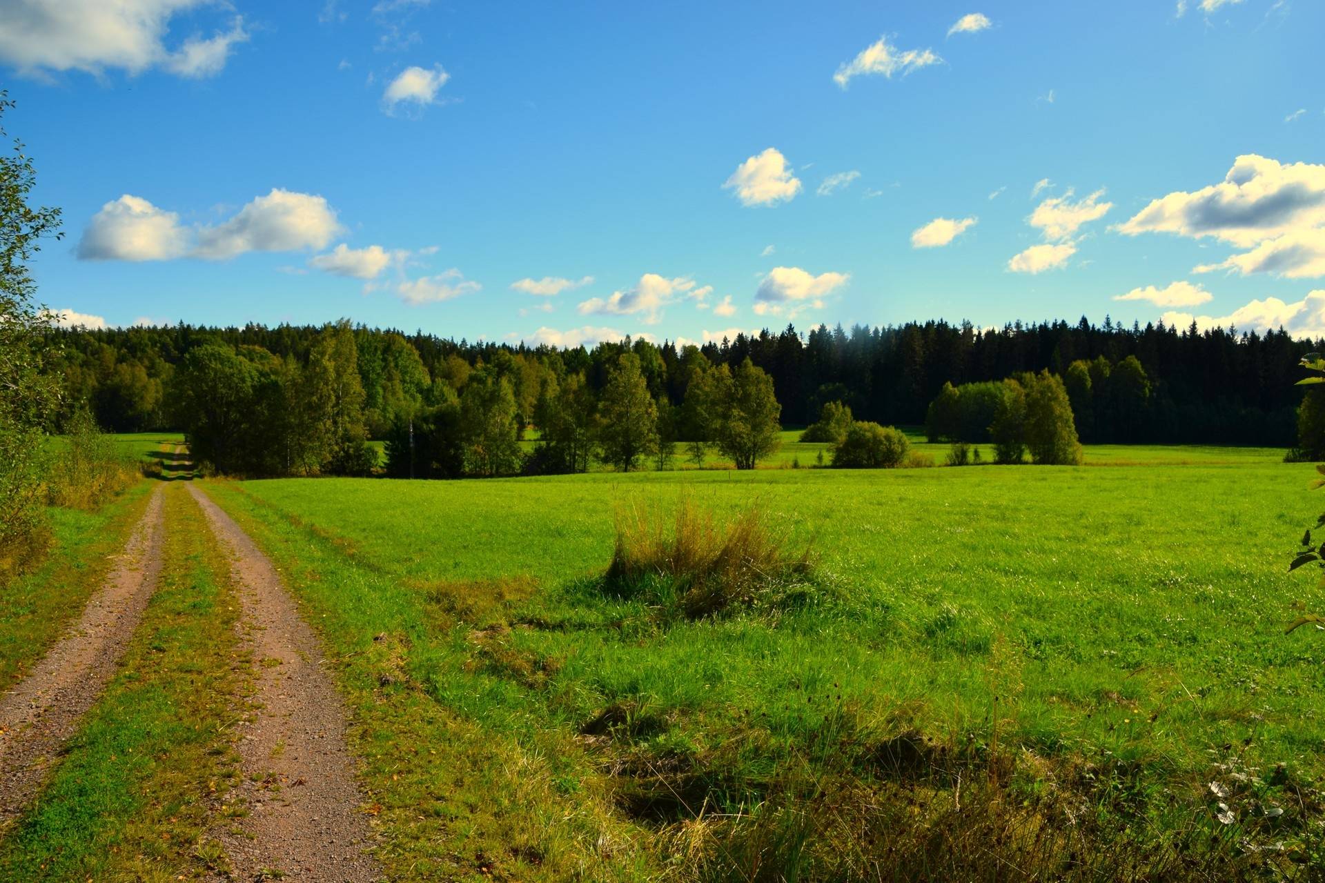 Gård med jordbruk på Snårbotten Laggartorp 23 Laggartorp Storfors kommun - bild 37