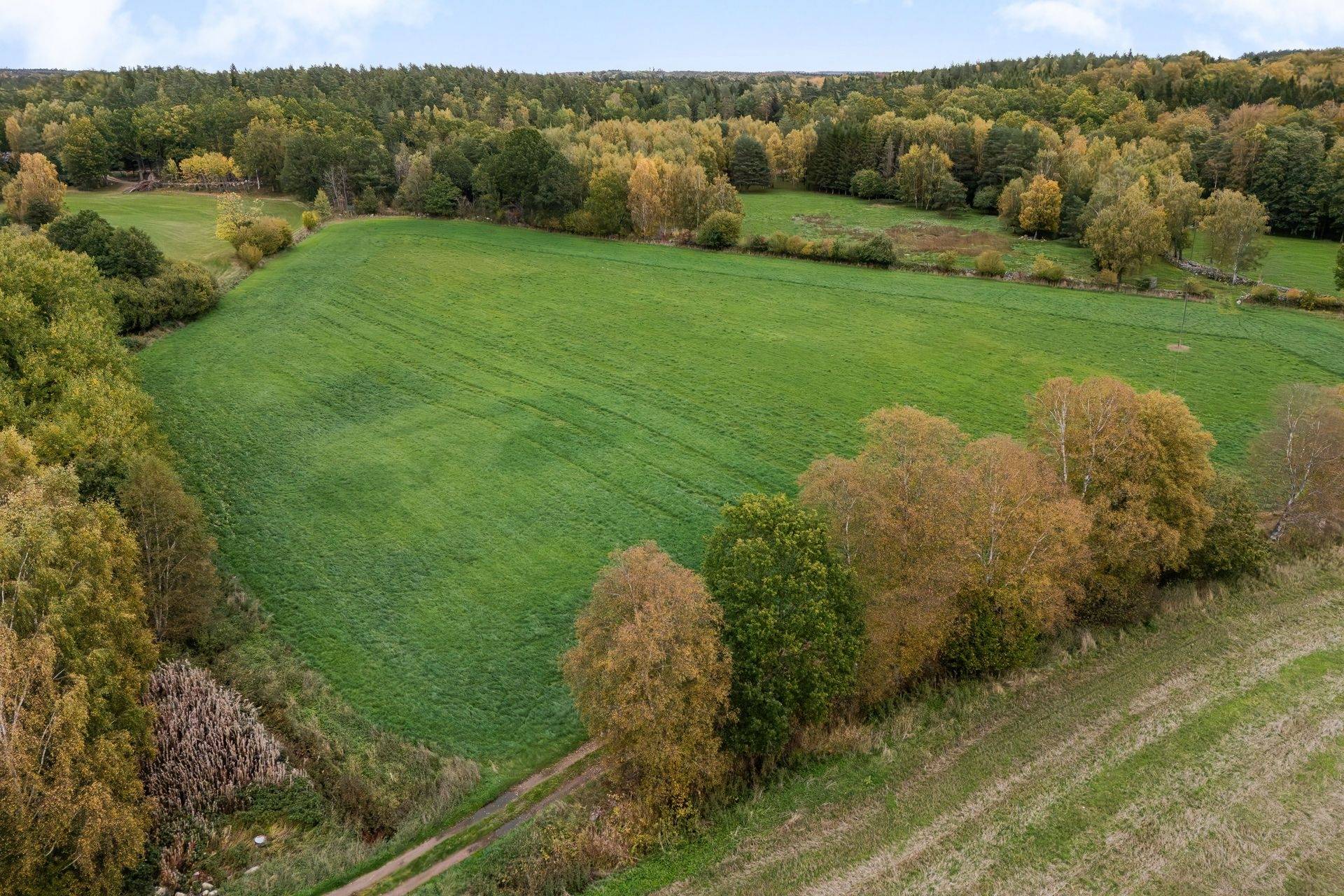 135 m² Gård med skogsbruk på Värestorp 2076 Östra Göinge kommun - bild 4