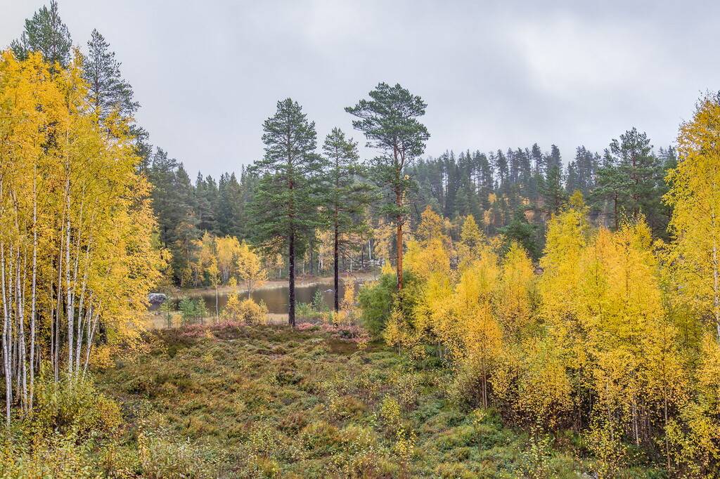 7 rum Fritidsboende på Filipstadsvägen 45 Fredriksberg Ludvika kommun - bild 26