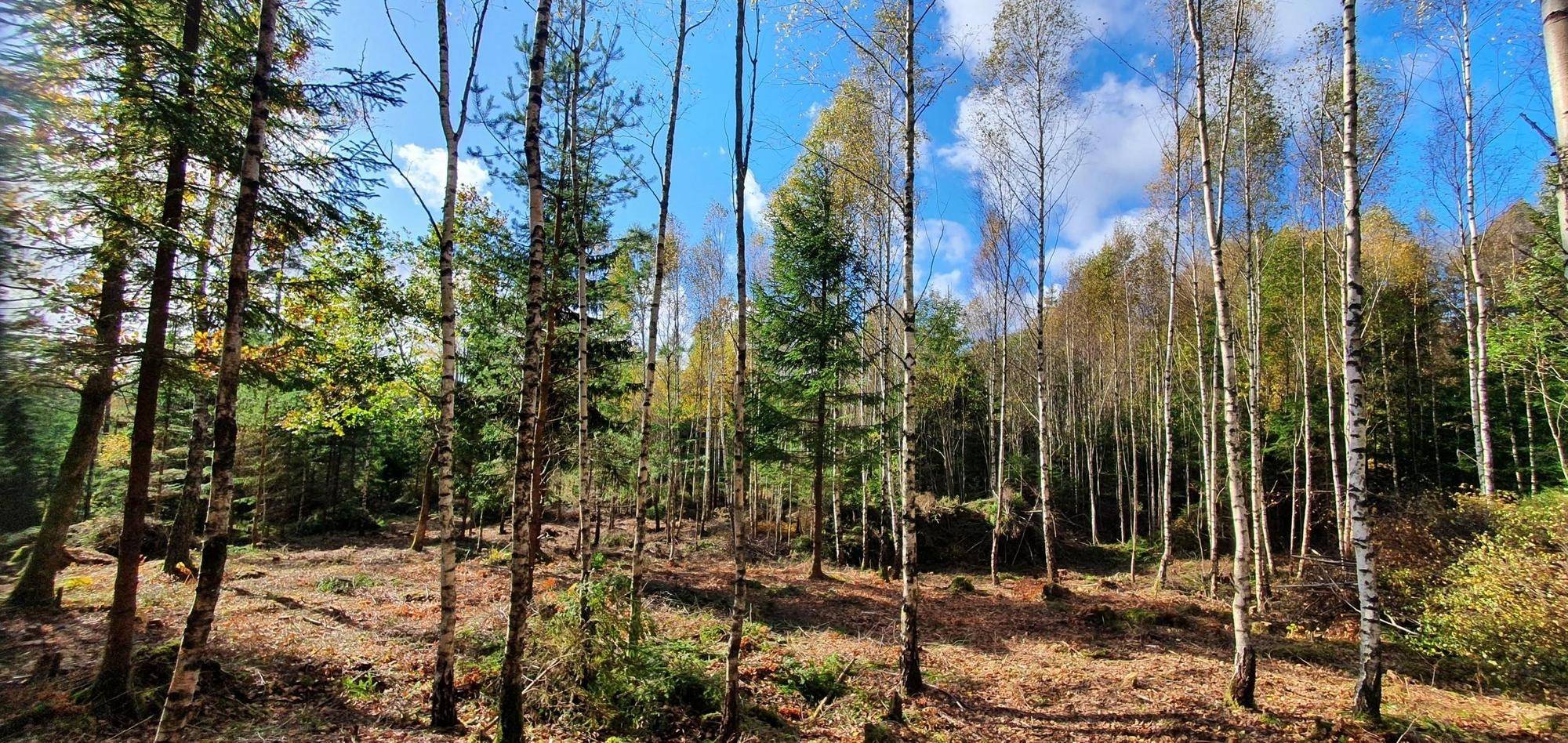 Härryda, Härryda kommun