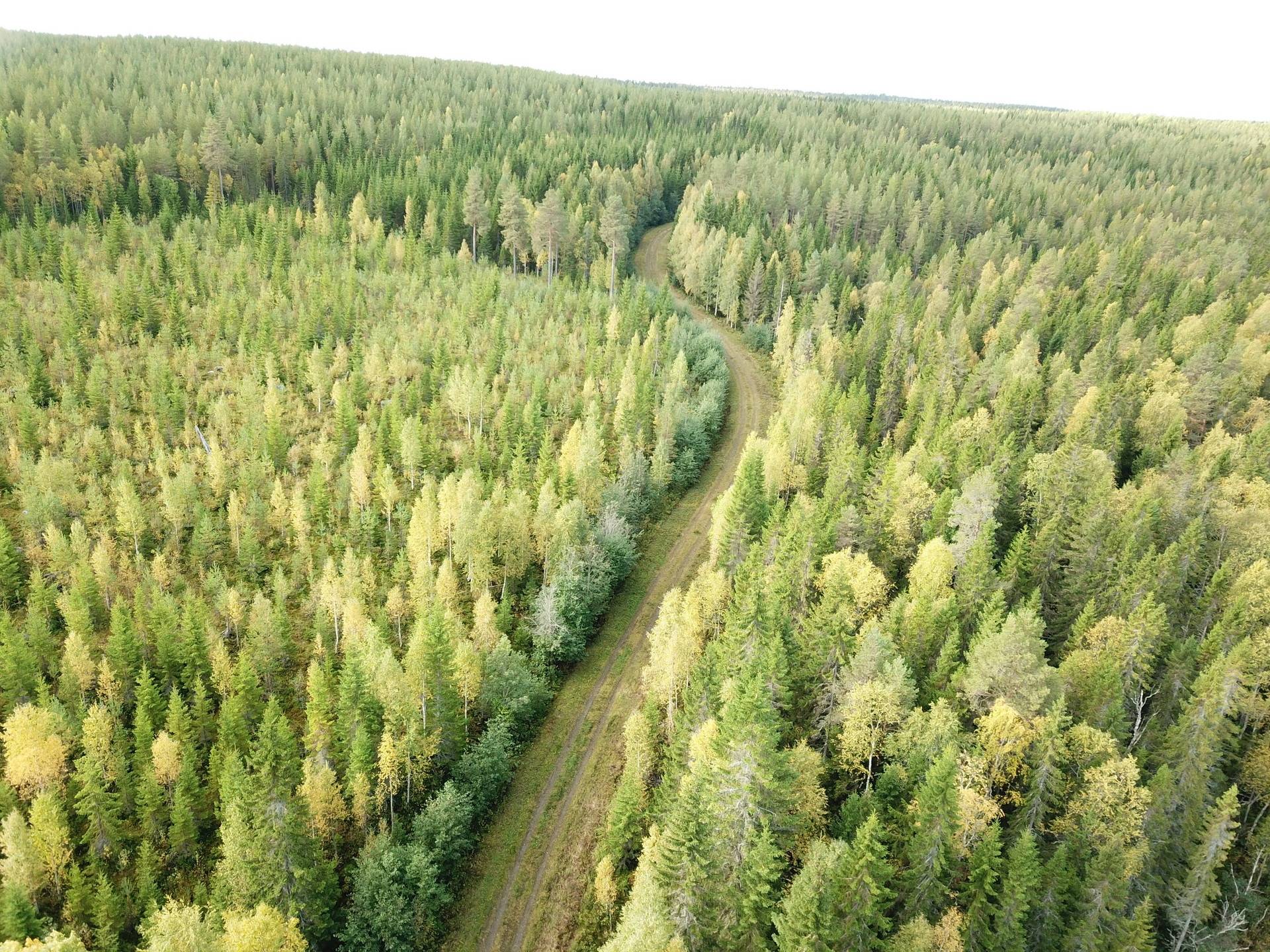 Lit, Östersunds kommun
