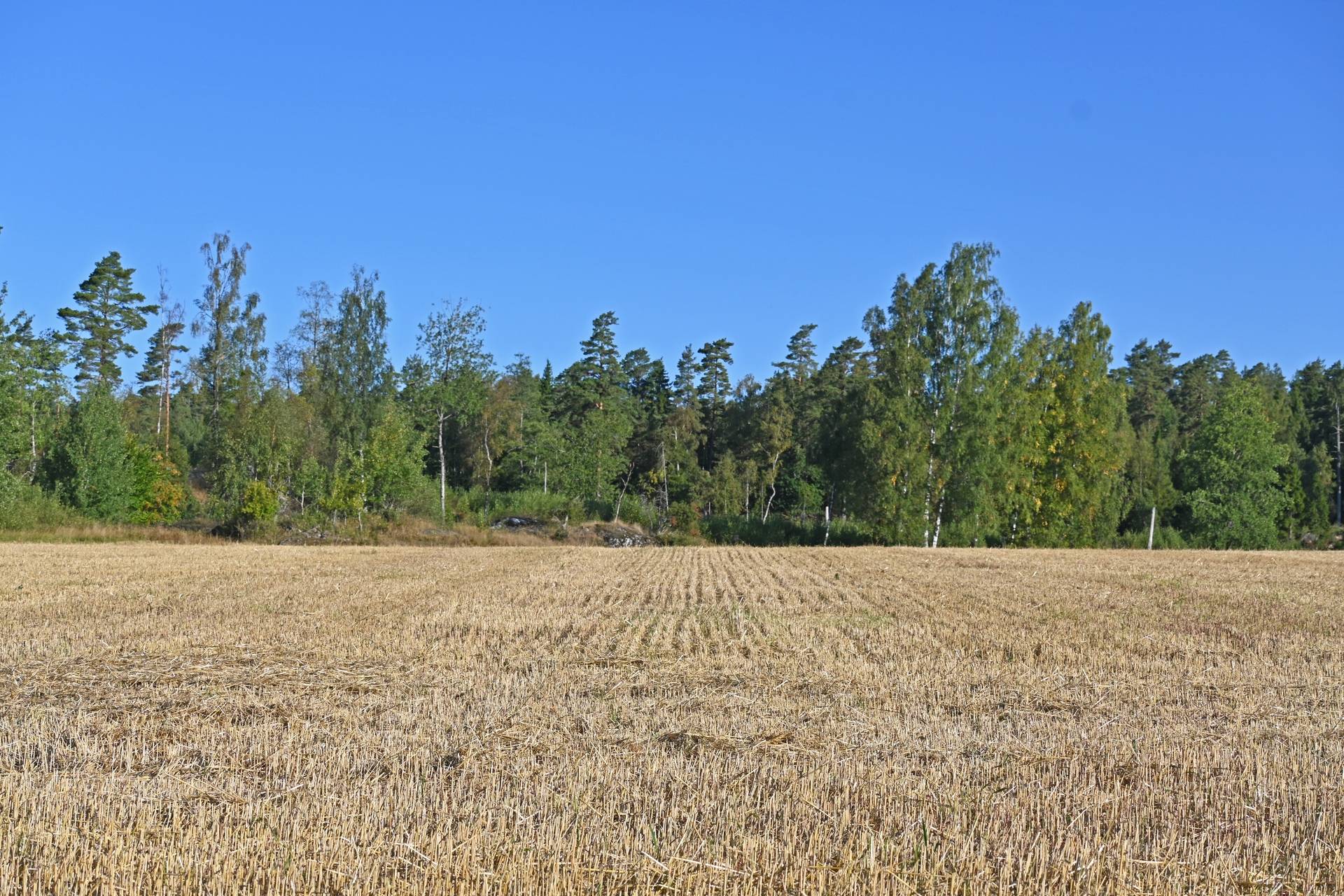 Gård med skogsbruk på Östergården Alingsås kommun - bild 33
