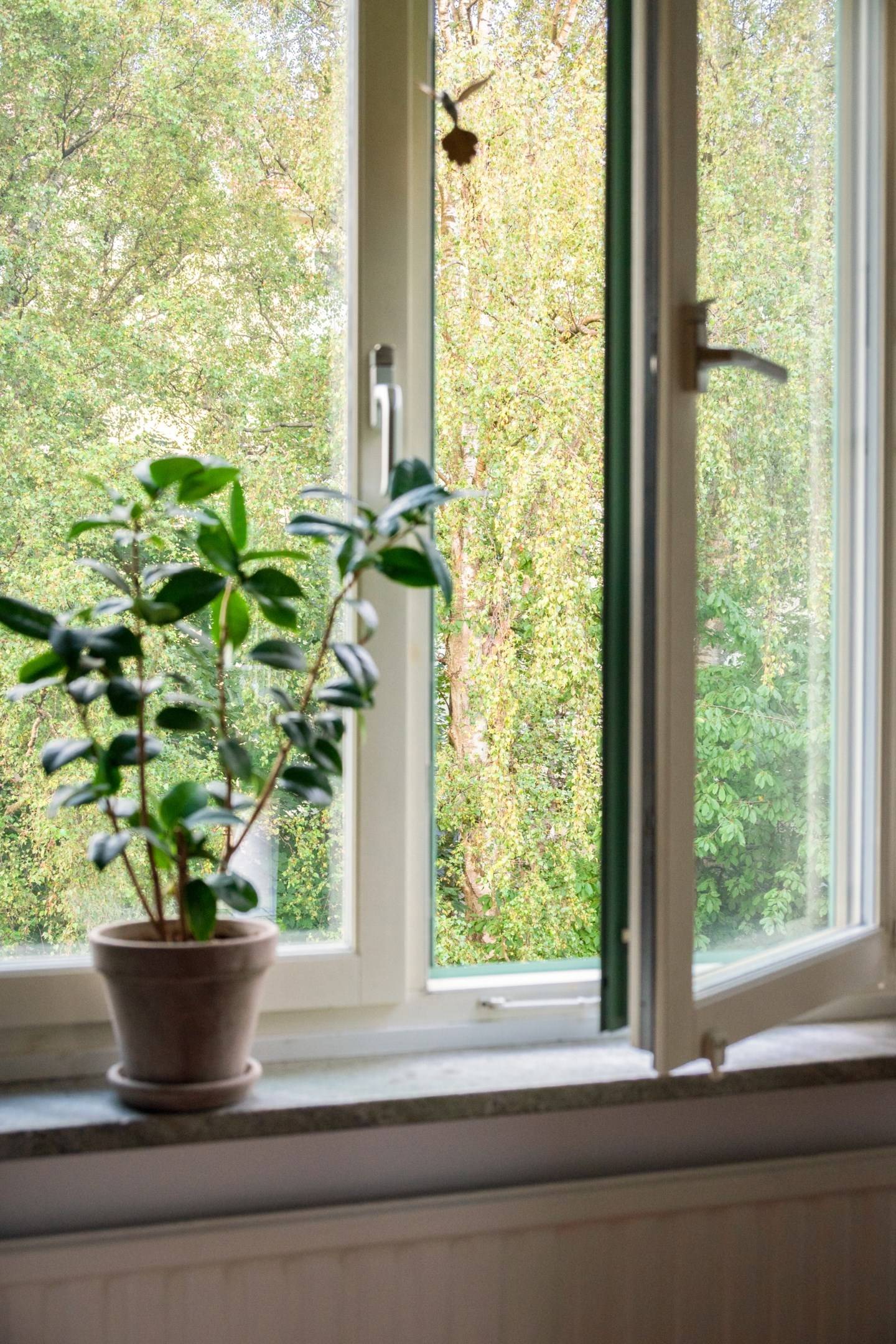 2 rum Lägenhet på Karl Johansgatan 164A Majorna - Sandarna Göteborgs kommun - bild 5