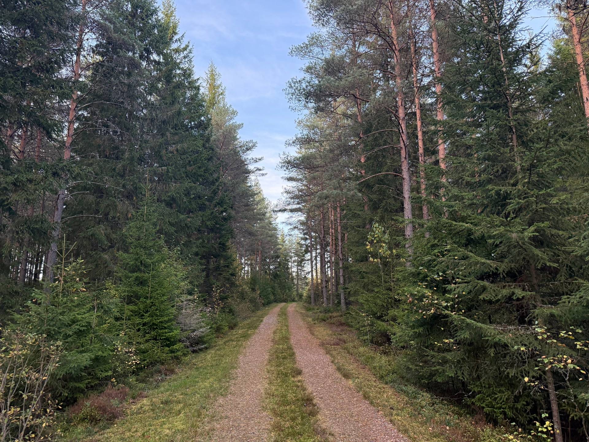 Gård med skogsbruk på Tranemo Ljungsarp 5:11 Ljungsarp Tranemo kommun - bild 4