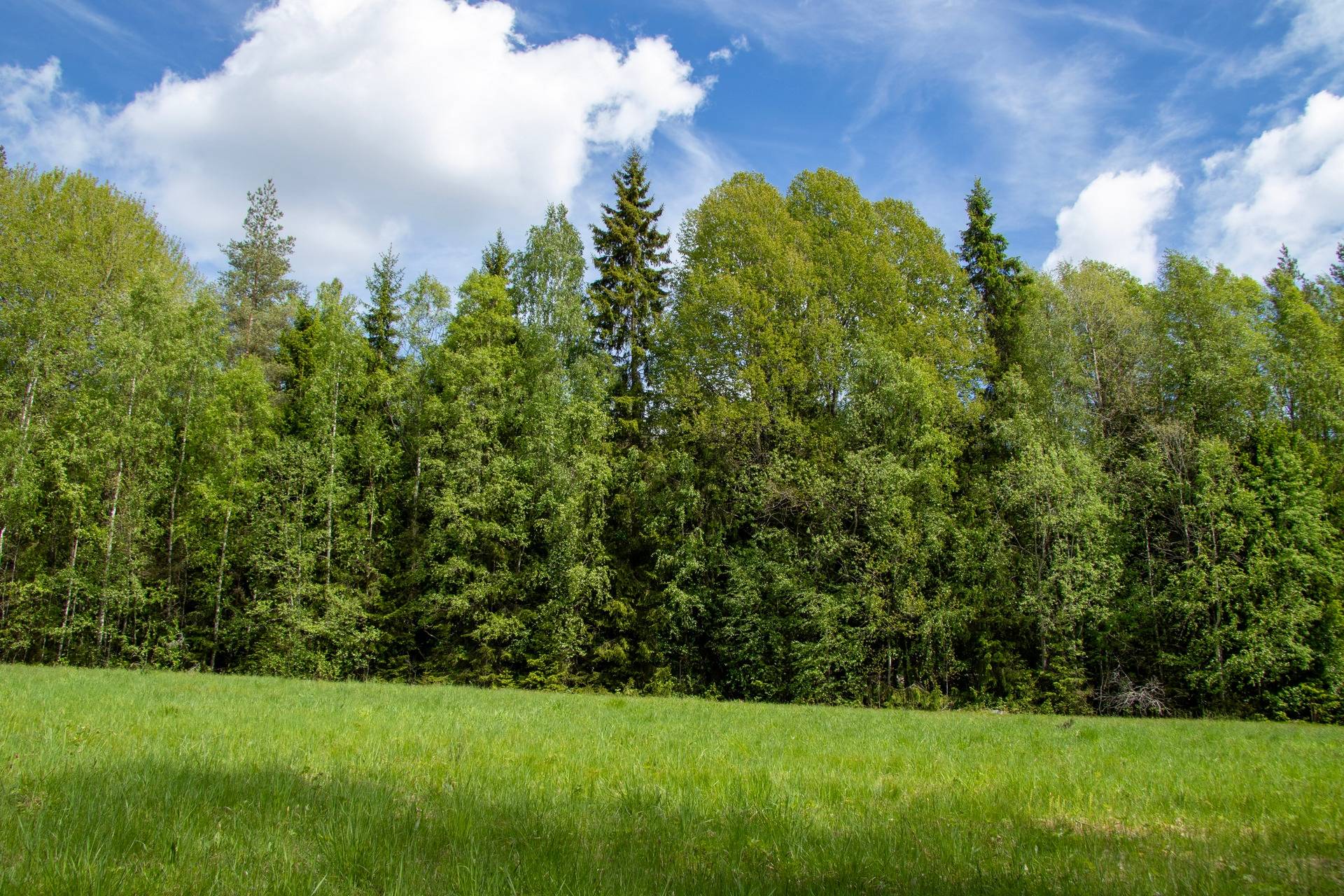 81 m² Gård med jordbruk på Västanberg Rånäs Hagfors kommun - bild 49