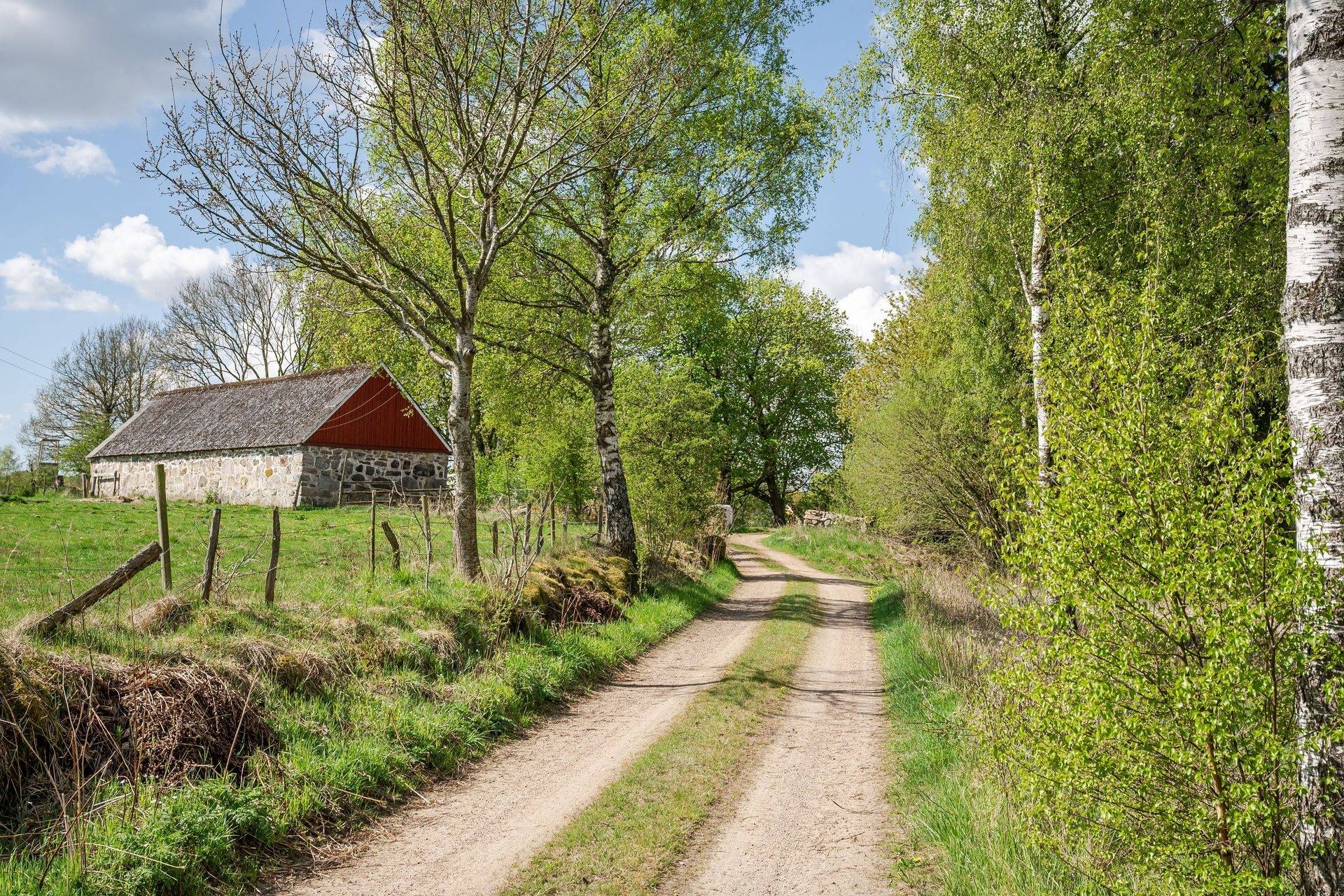 294 m² Gård med skogsbruk på Äsperöd 317 Äsperöd Höörs kommun - bild 73