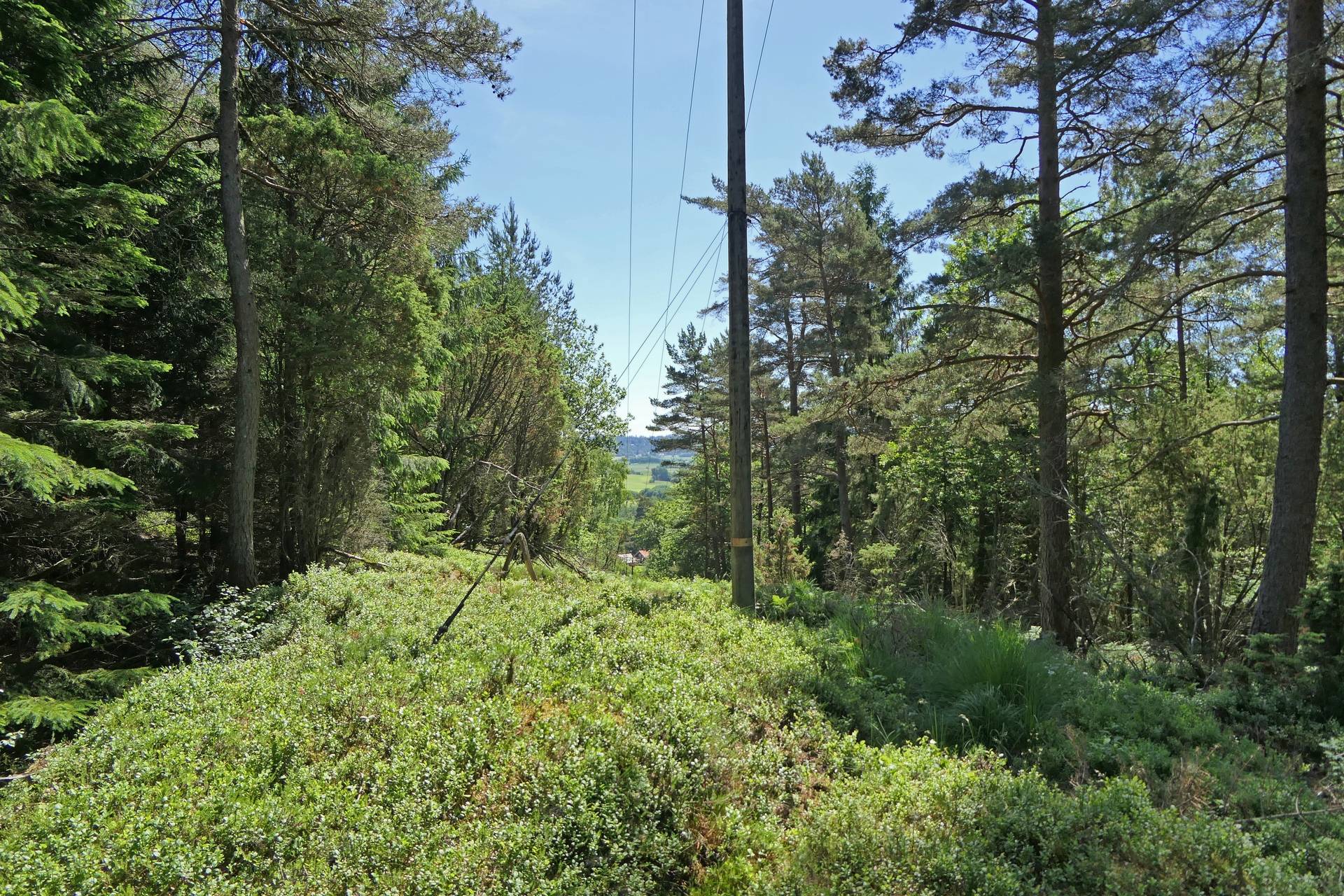 Gård/skog på Skvalpan Göteborgs kommun - bild 9