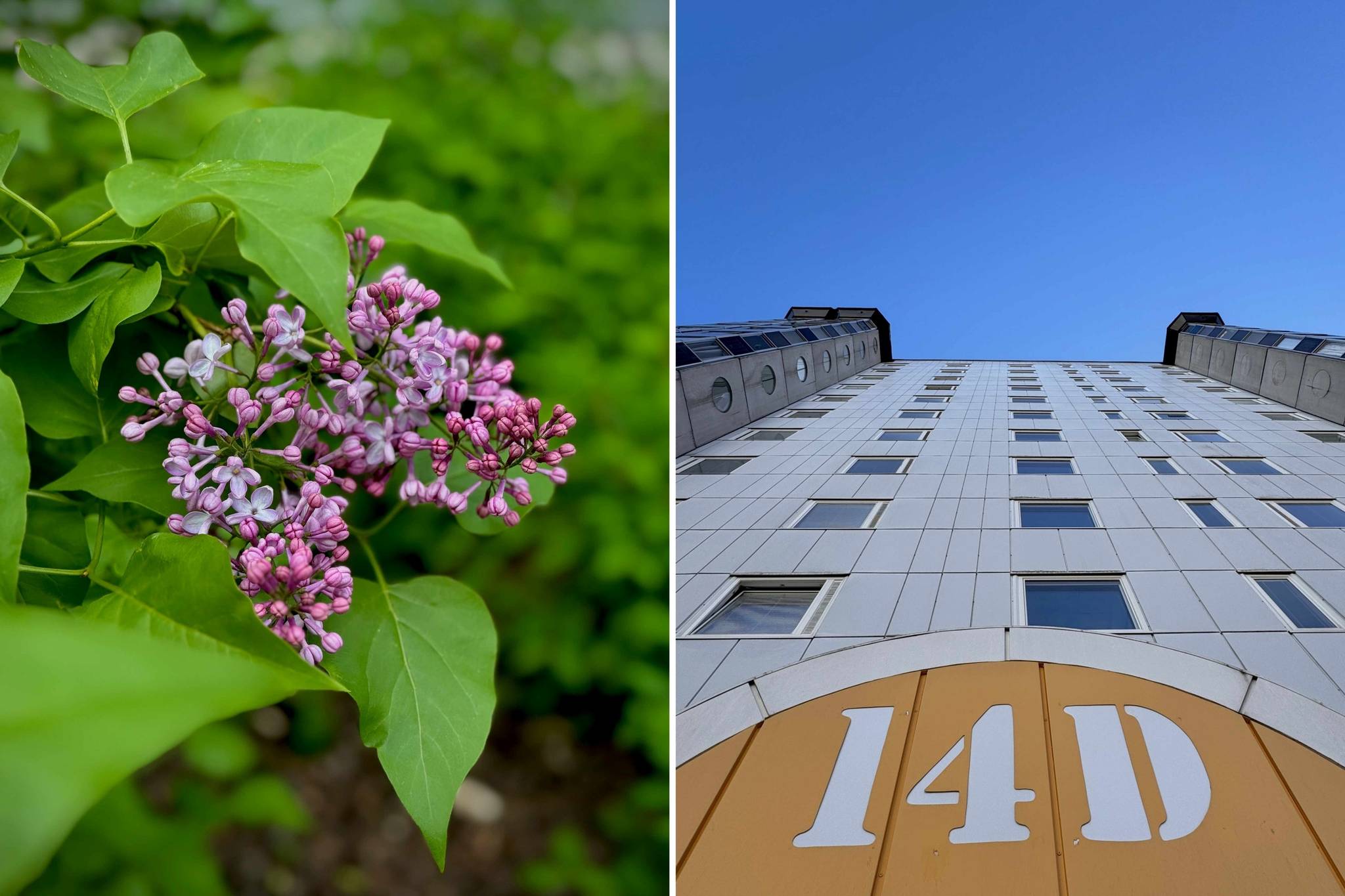 3 rum Lägenhet på Terapivägen 14D Flemingsberg Huddinge kommun - bild 22