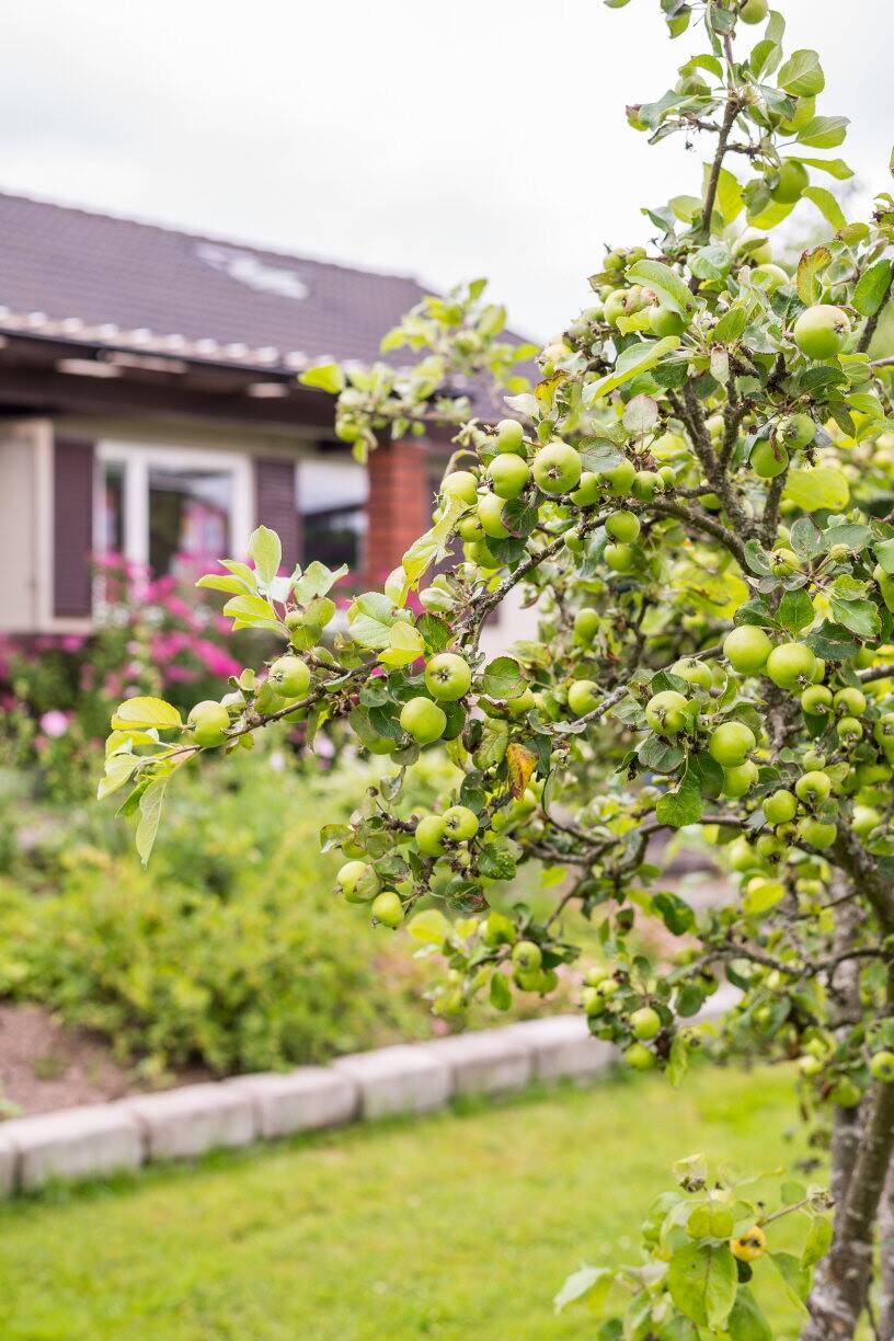 6 rum Villa på Gästgivarevägen 49 Åby Norrköpings kommun - bild 22