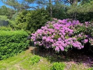 5 rum Villa på Fjällbruden 88 Rannebergen Göteborgs kommun - bild 43