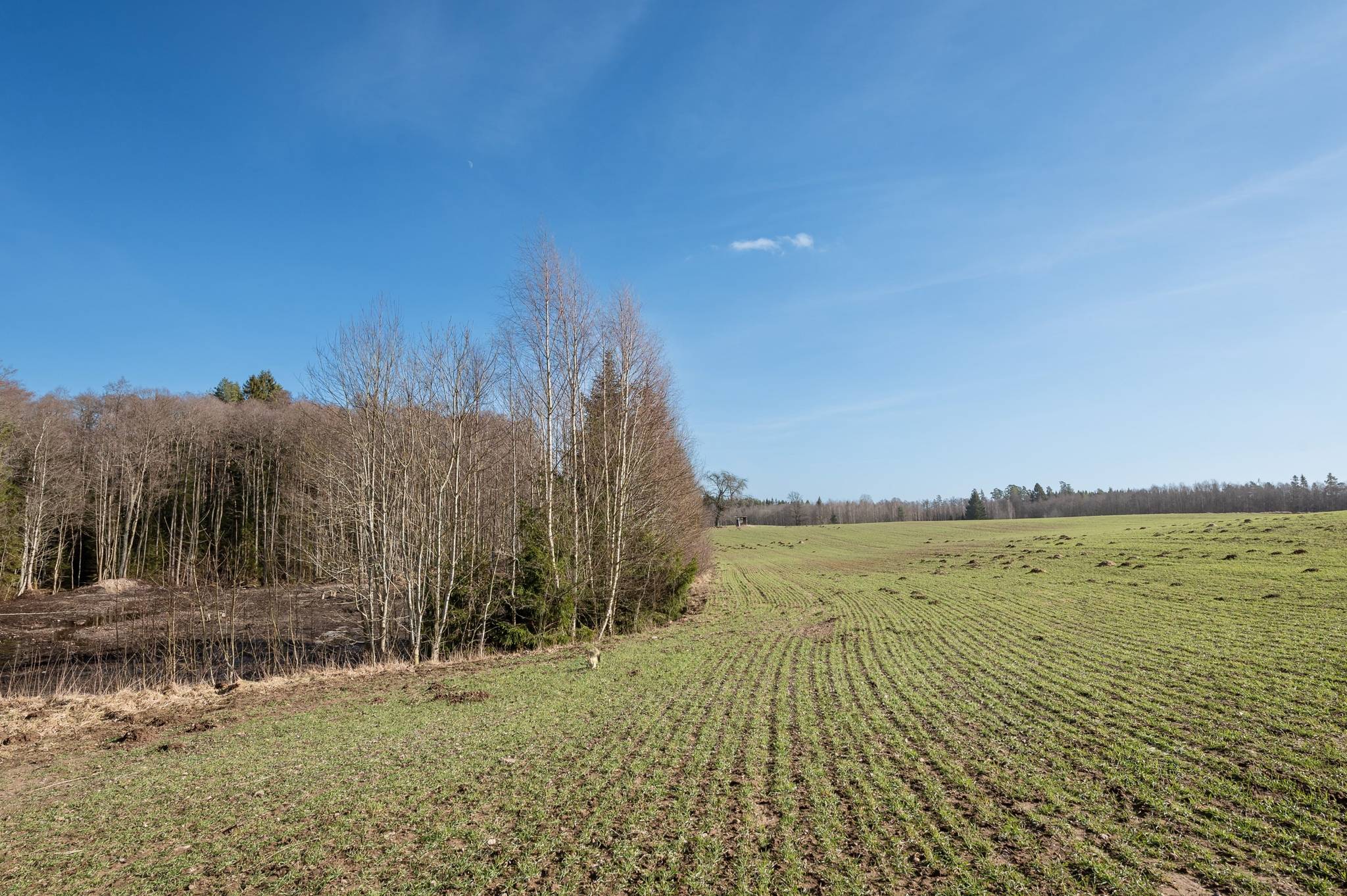 180 m² Gård/skog på Grenen 1 Habo kommun - bild 55