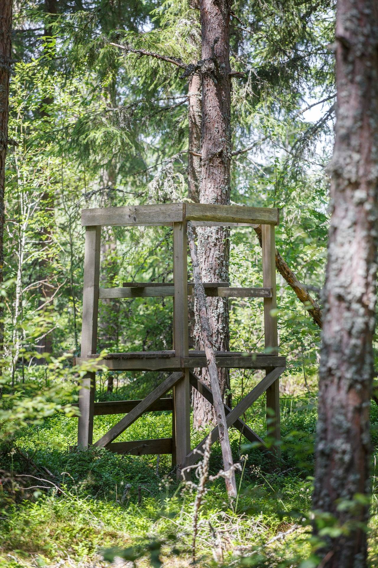 Gård med jordbruk på Hästerum Nässjö kommun - bild 45