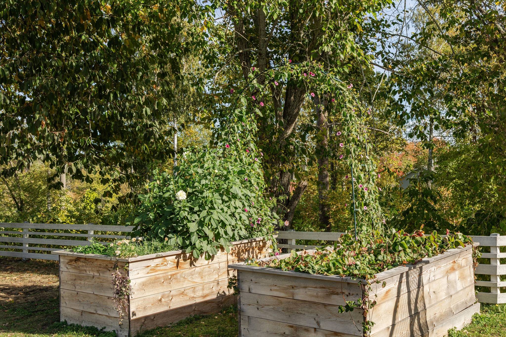 5 rum Villa på Taggbuskevägen 10 Almvik Västerviks kommun - bild 53