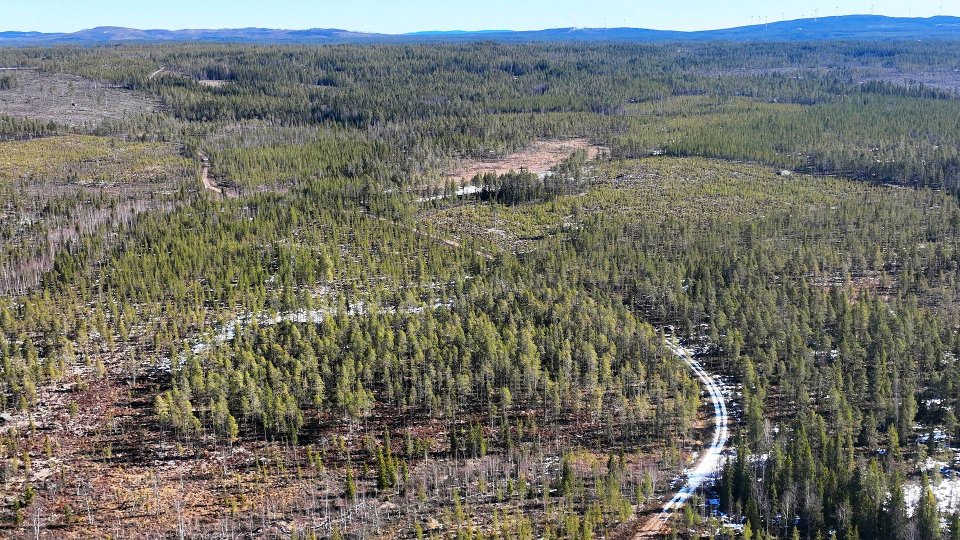 Gård med skogsbruk på ORRMO Härjedalens kommun - bild 10