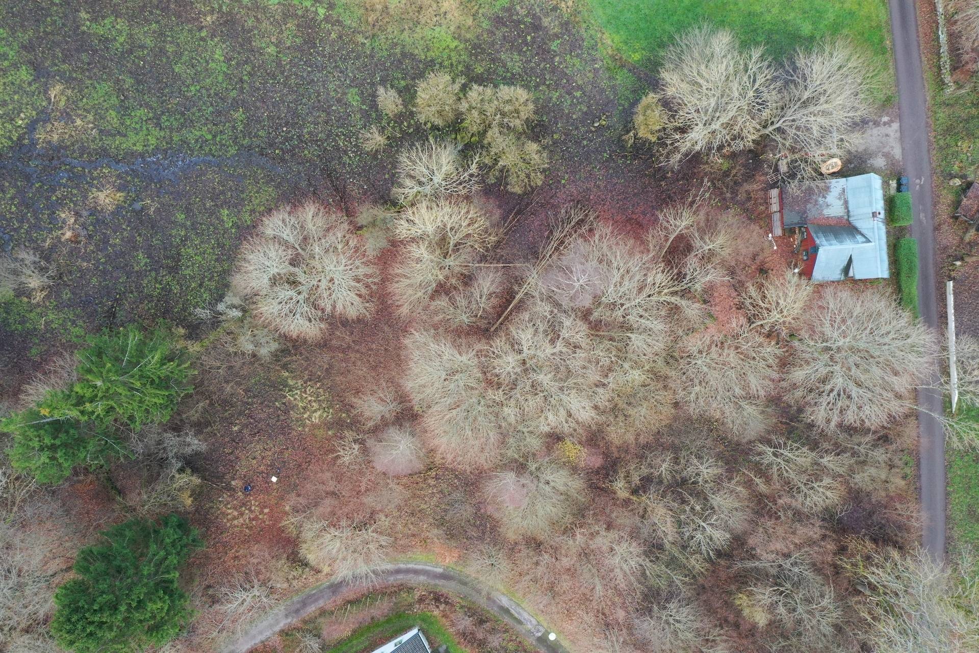 Villa på Norra Fogdarödsvägen 9 Höörs kommun - bild 5