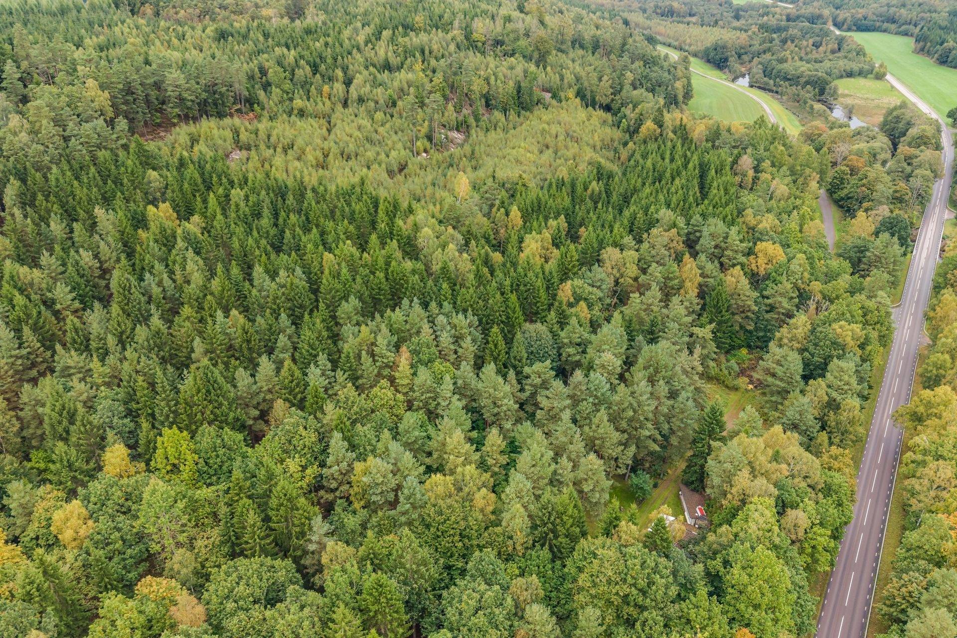 Gård/skog på Göteborgsvägen 555 Halmstads kommun - bild 47