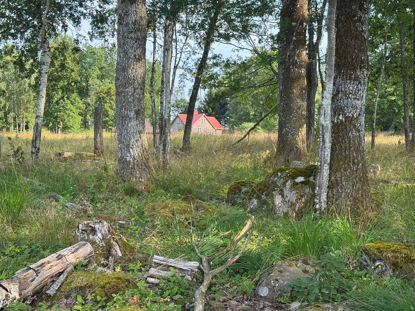 2 rum Gård/skog på Kärringe Trädestorp 1 Småland Ljungby kommun - bild 78