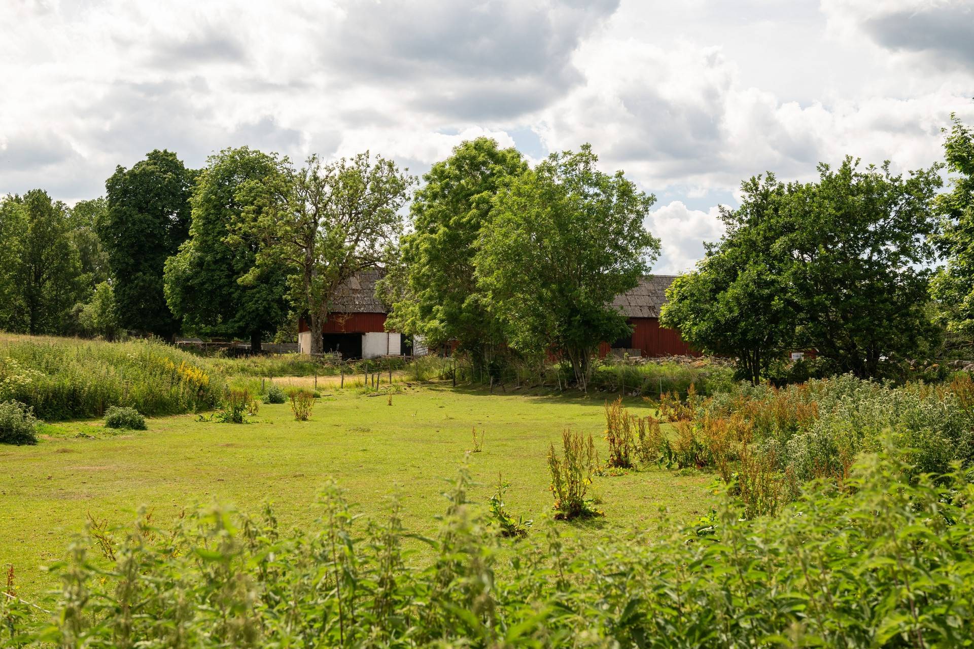 5 rum Gård med jordbruk på Knopparpsvägen 156 Linderöd Kristianstads kommun - bild 72