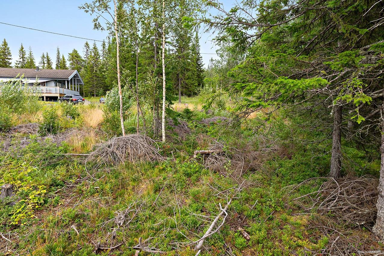 Tomt på Skogvaktarvägen 11 Rislängden Åre kommun - bild 9