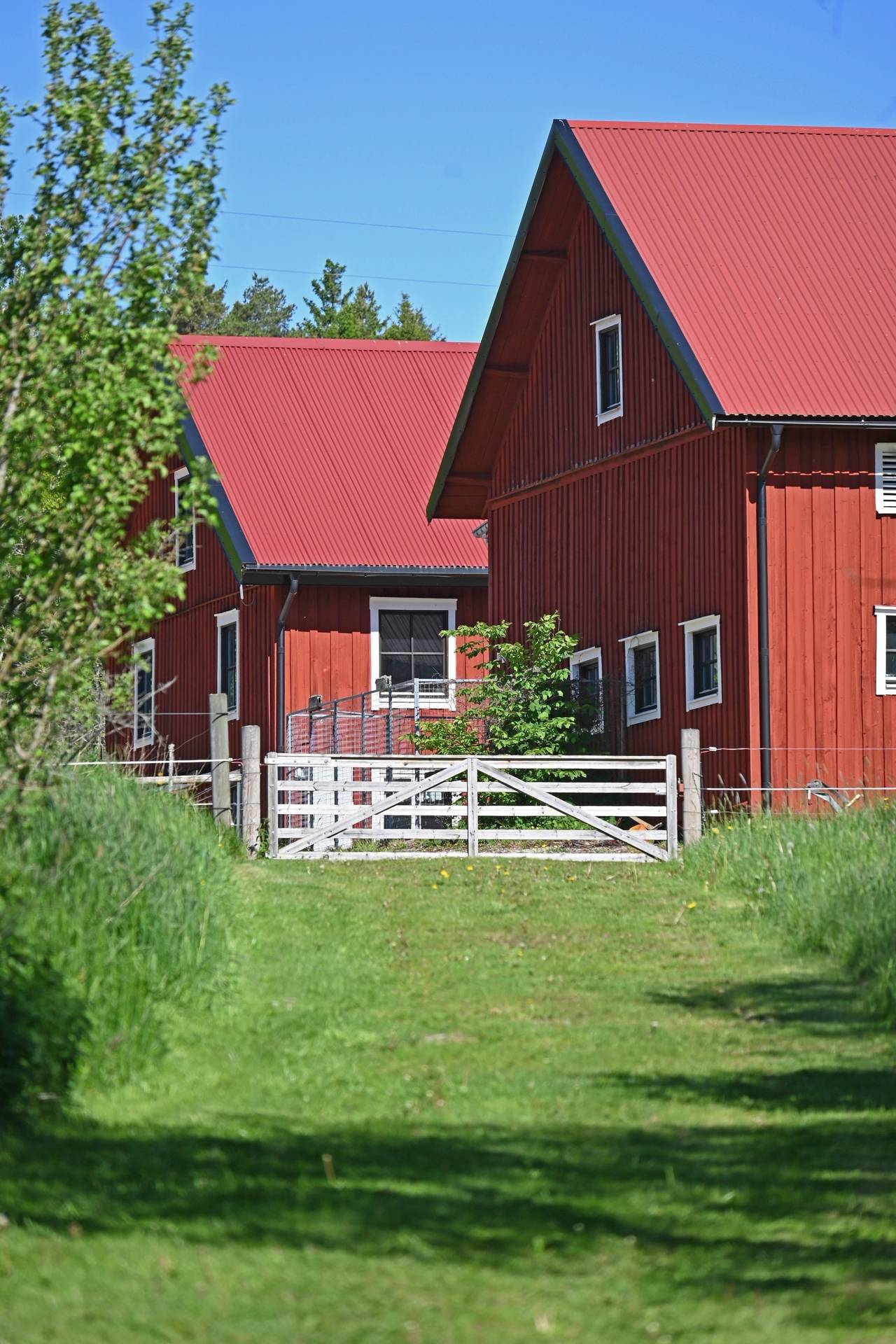 Gård med skogsbruk på Stenarsröd Lilla Edets kommun - bild 42