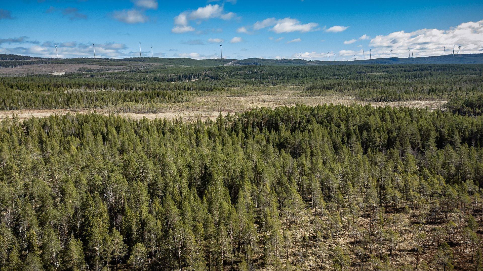 Gård/skog på Del av Ånge Turingen 1:9 Ånge kommun - bild 12