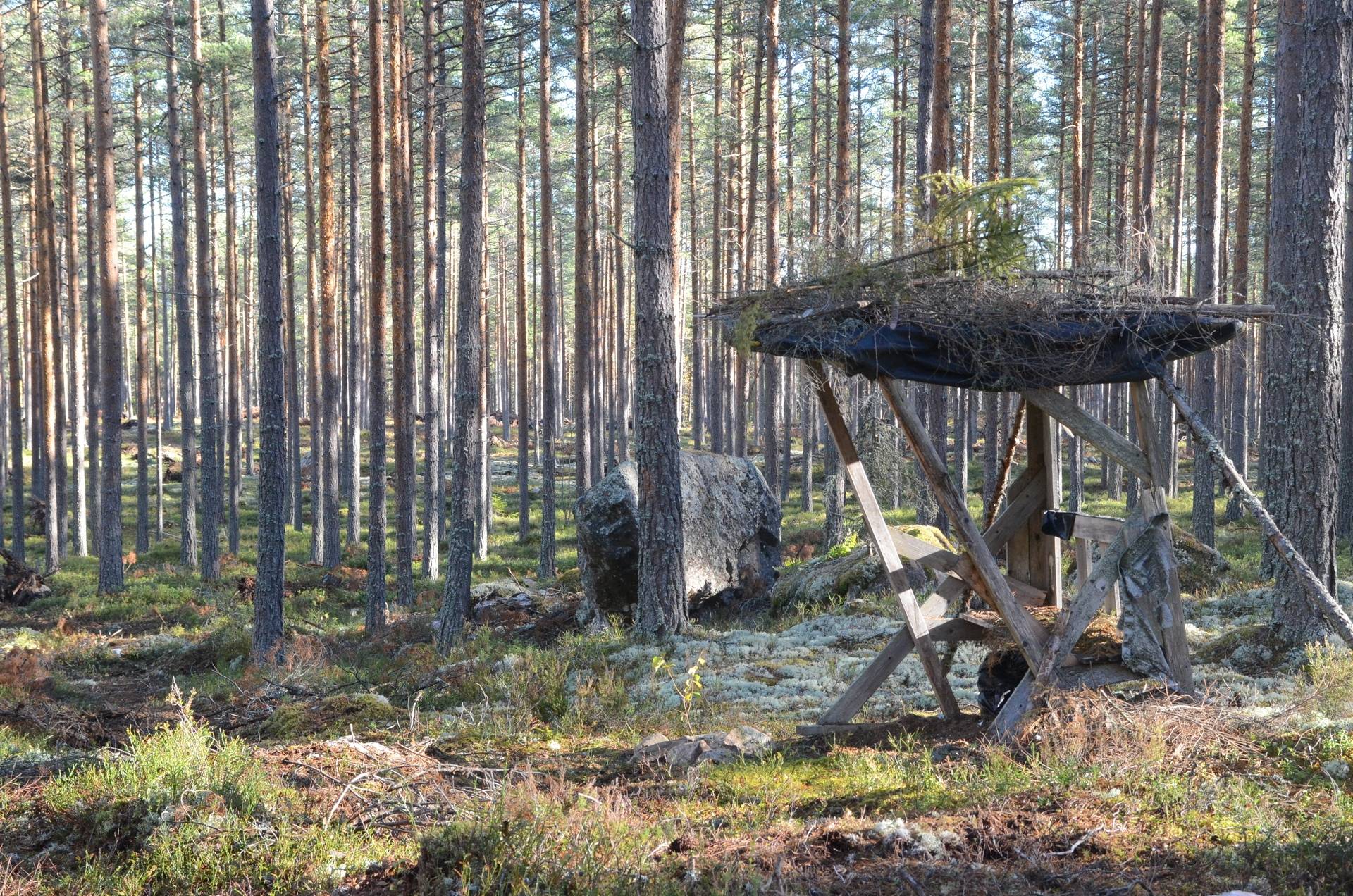 Gård med skogsbruk på Utanmyra Falu kommun - bild 49