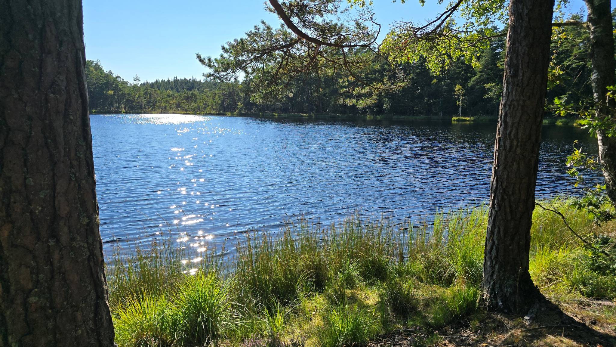 6 rum Vinterbonat fritidshus på Trälshult 65 Laholms kommun - bild 118