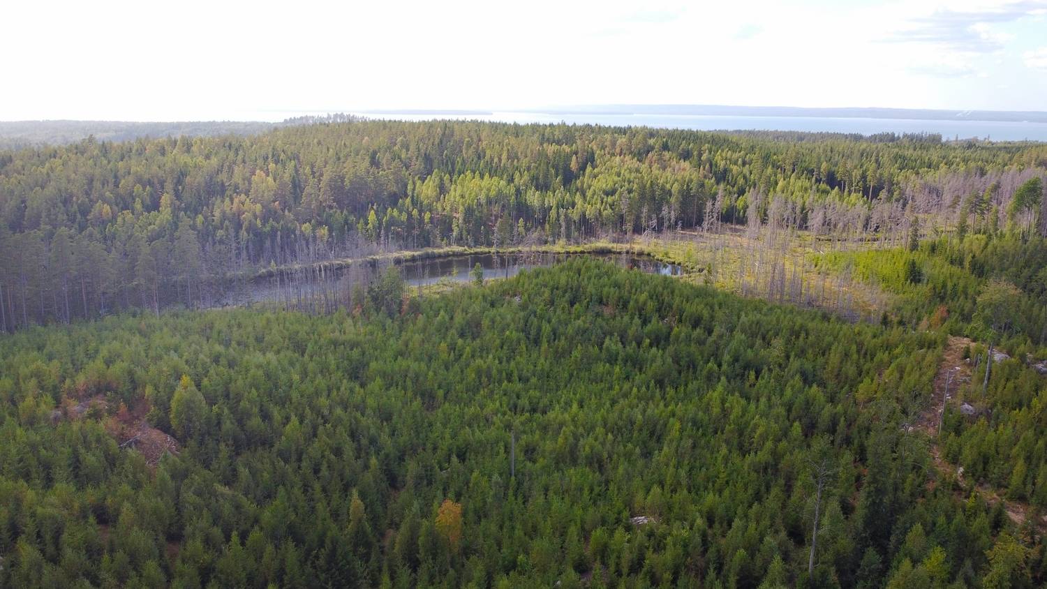 Tomt på Hulta 1:39 Närke Askersunds kommun - bild 12