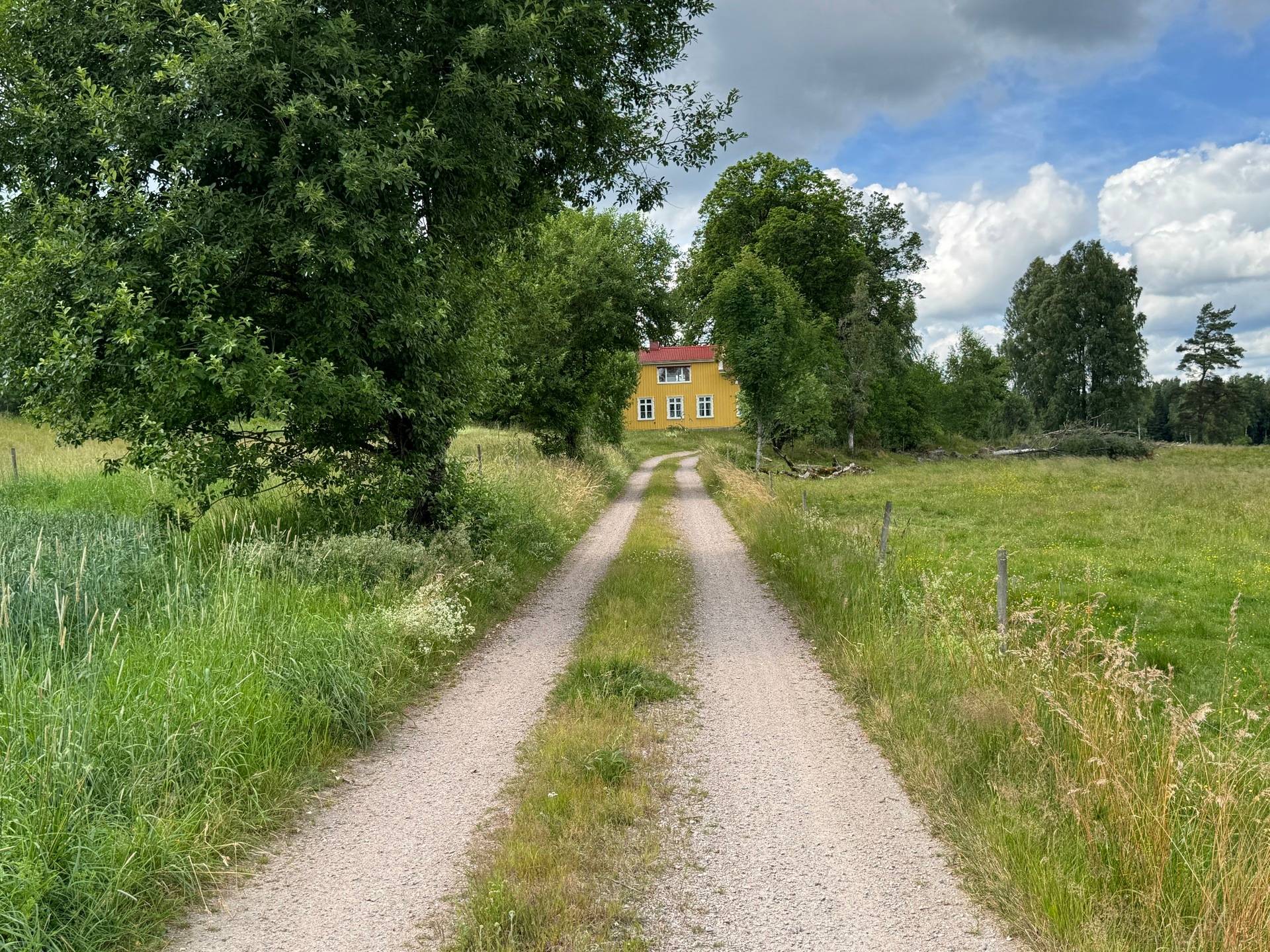Gård med jordbruk på Ringestena Lillegården 1 Ringestena Svenljunga kommun - bild 37