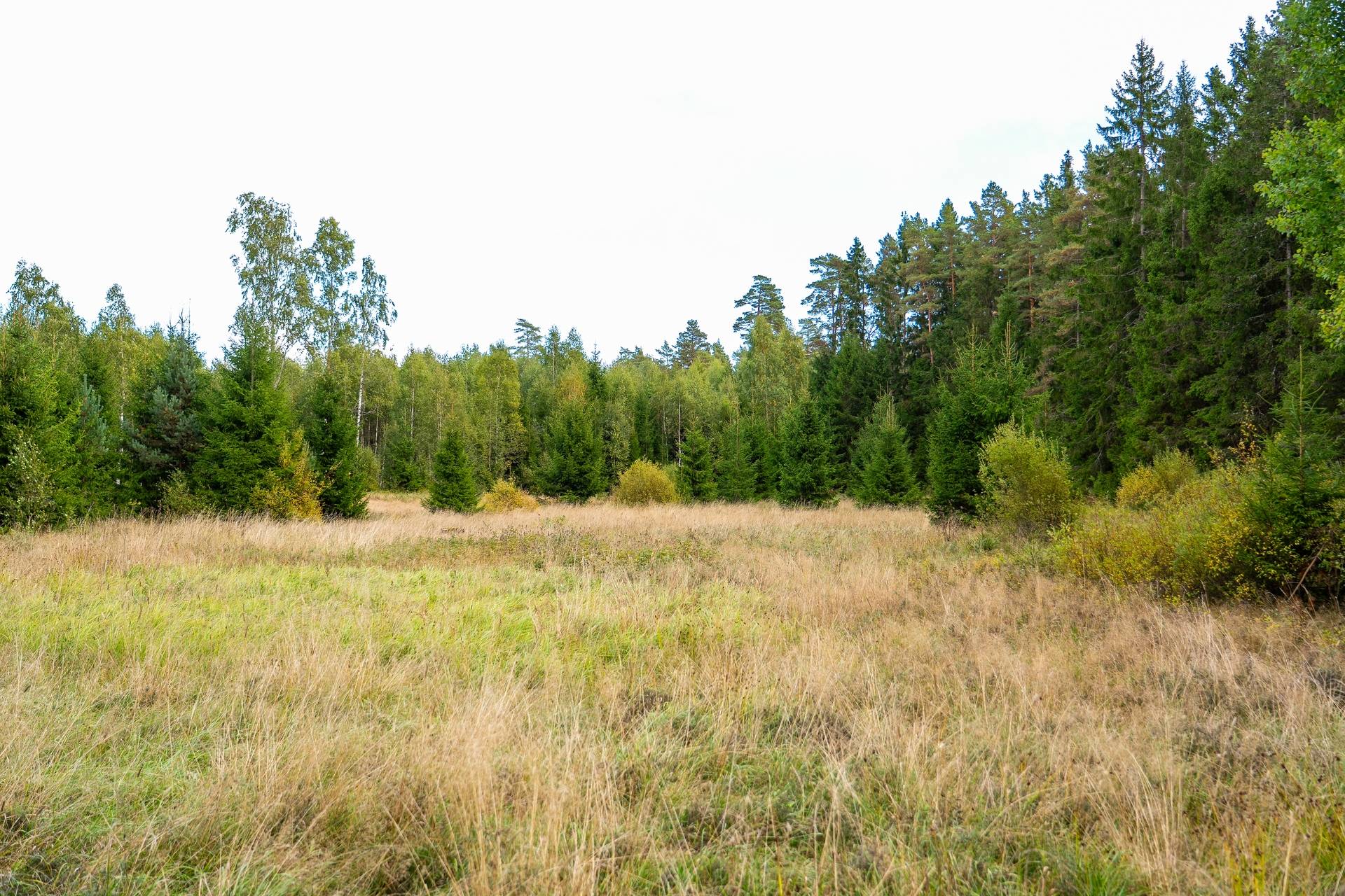 Gård med jordbruk på Övergården Säffle kommun - bild 23