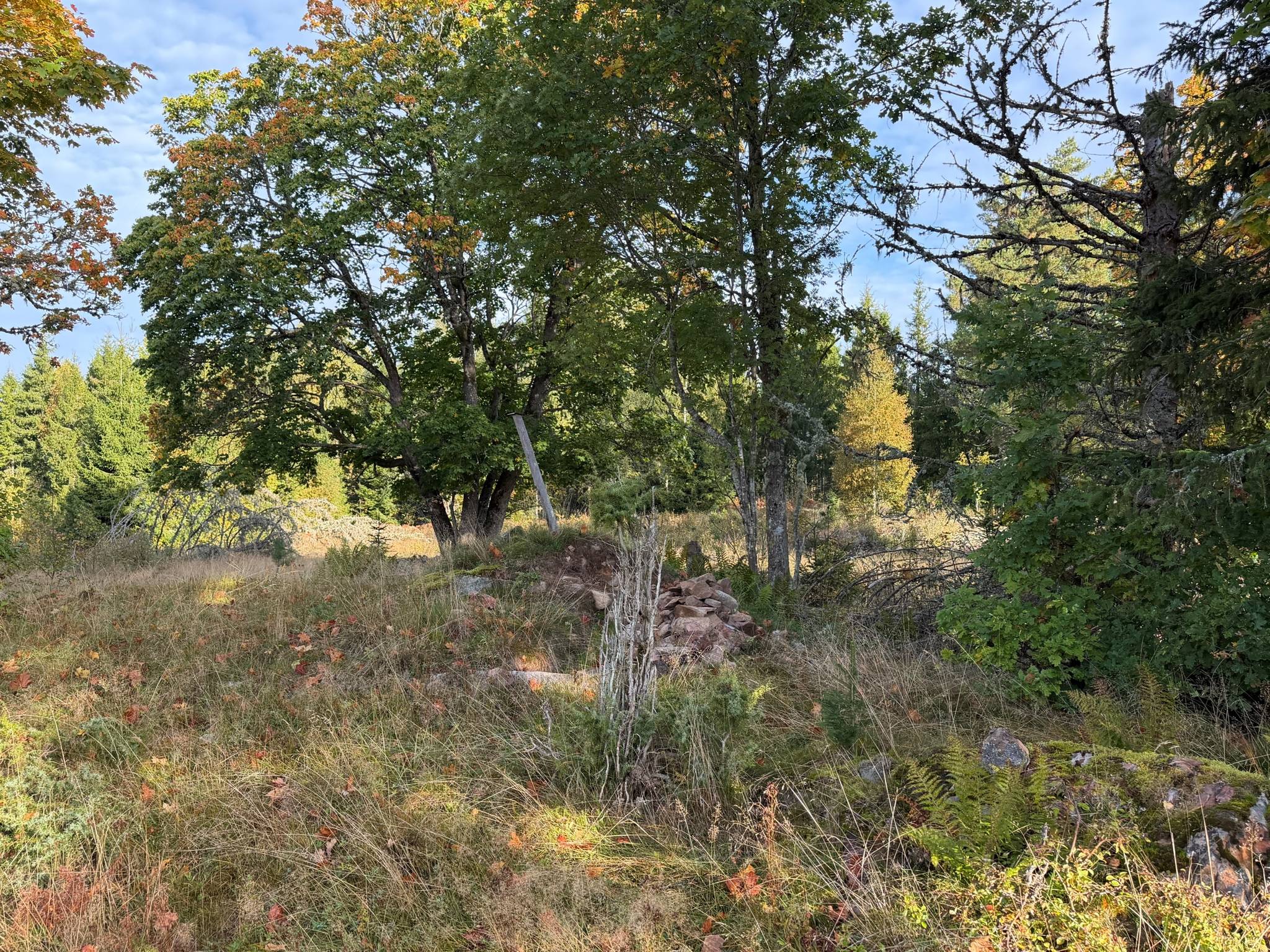 Gård/skog på Del av Hornaryd Hörnegård 2 Braås Växjö kommun - bild 11