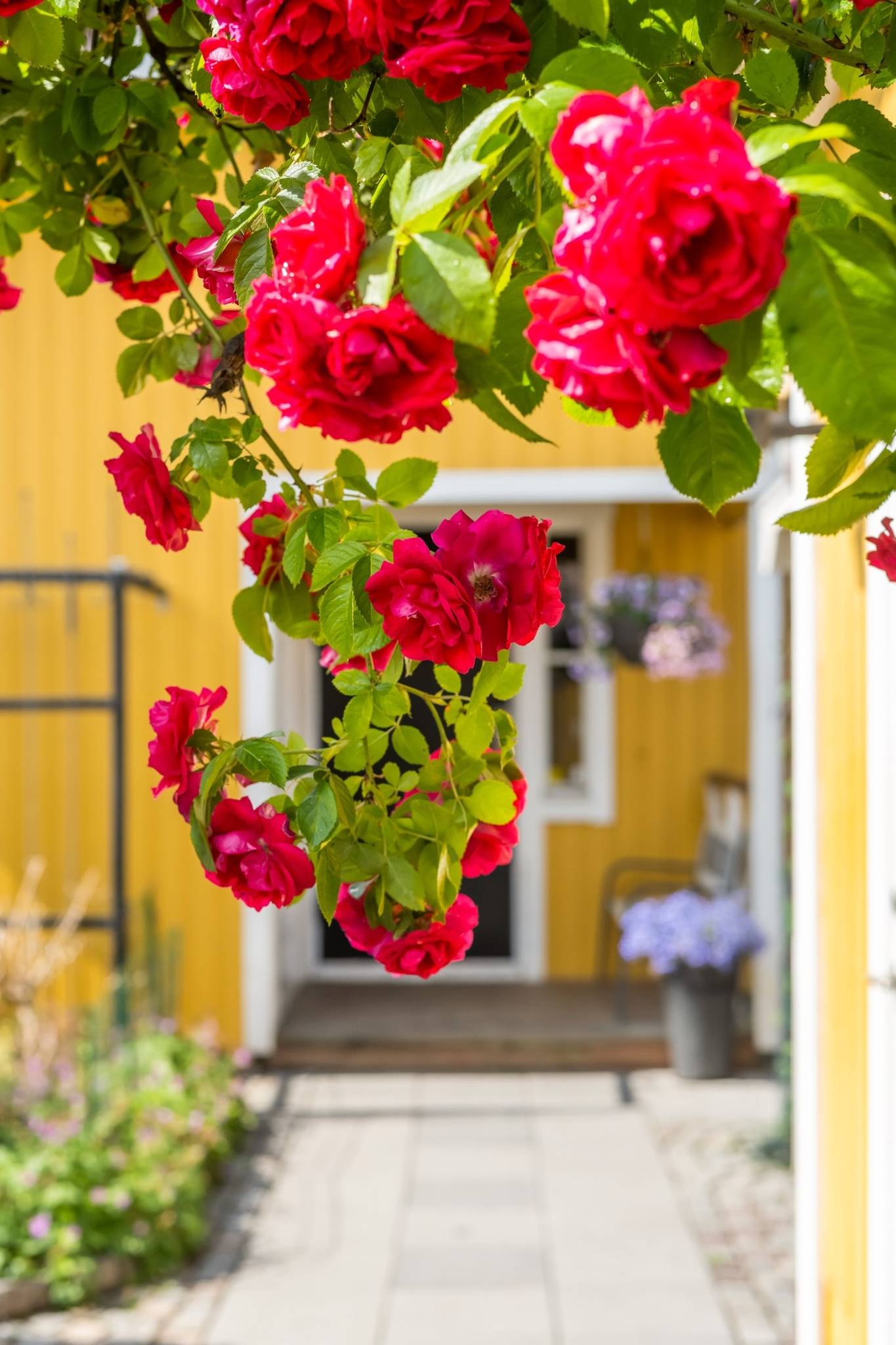 5 rum Radhus på Rotfruktsgatan 16 Årsta Uppsala kommun - bild 27