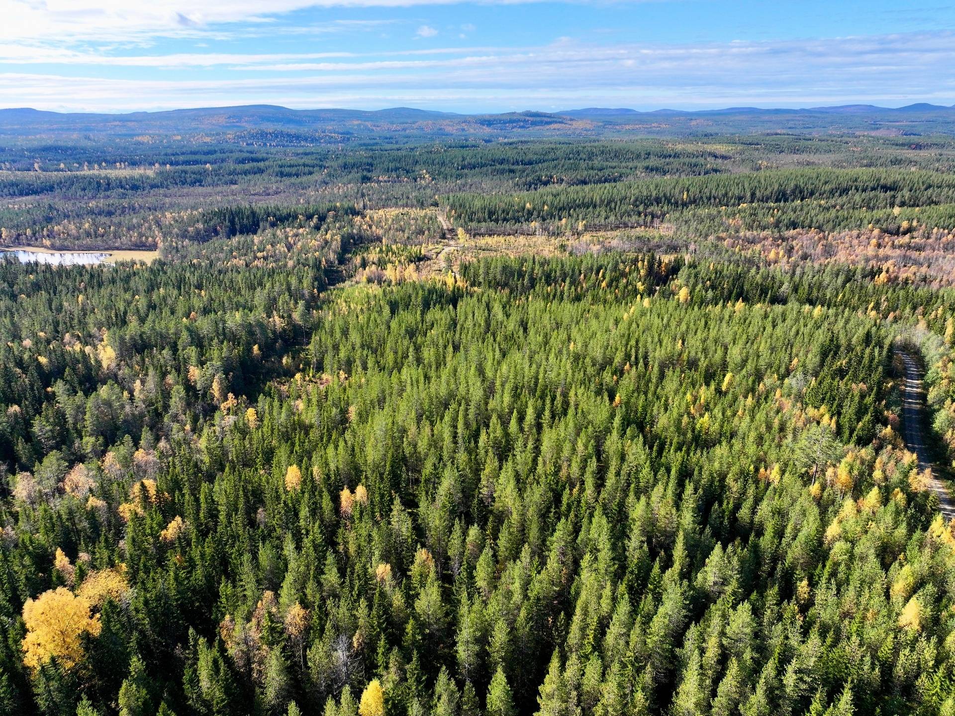 Gård/skog på Örträsk 2:38 Lycksele kommun - bild 17