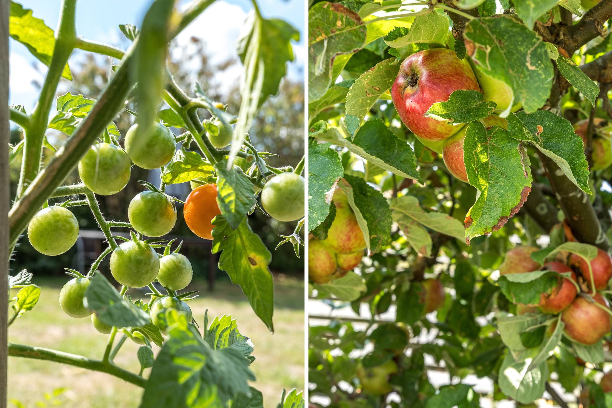 4 rum Kedjehus på Krokusgatan 21 Husie Malmö kommun - bild 42