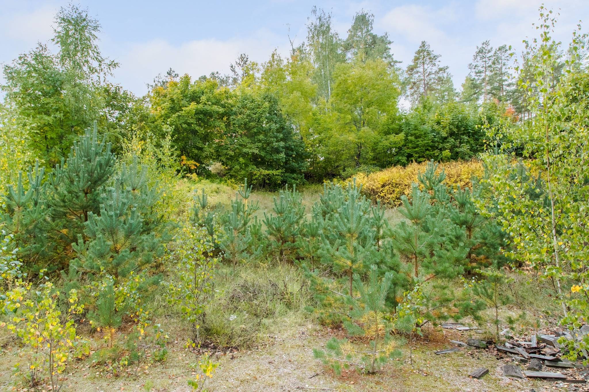 3 rum Villa på Kyrkvägen 7 Hultsfreds kommun - bild 19