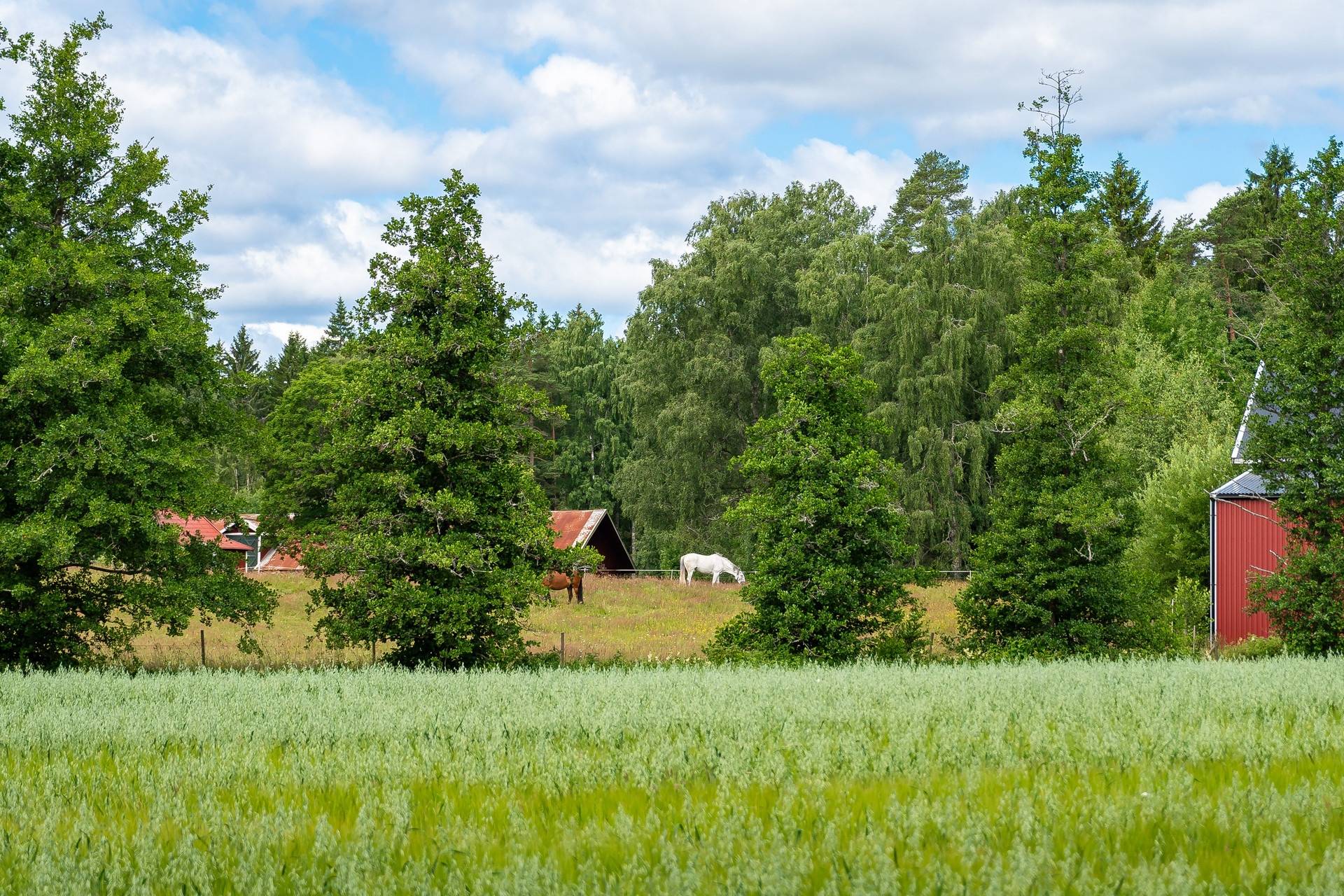 4 rum Radhus på Pengabergsvägen 7 Taberg Jönköpings kommun - bild 25
