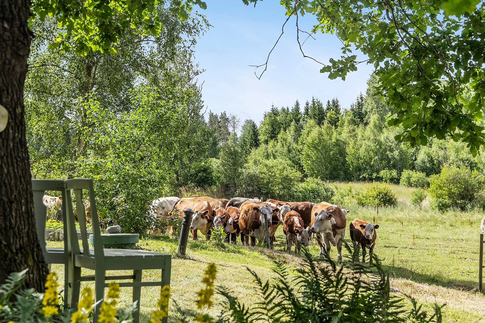5 rum villa på Haneberg Björke Västra Näshulta, Eskilstuna kommun - bild 2
