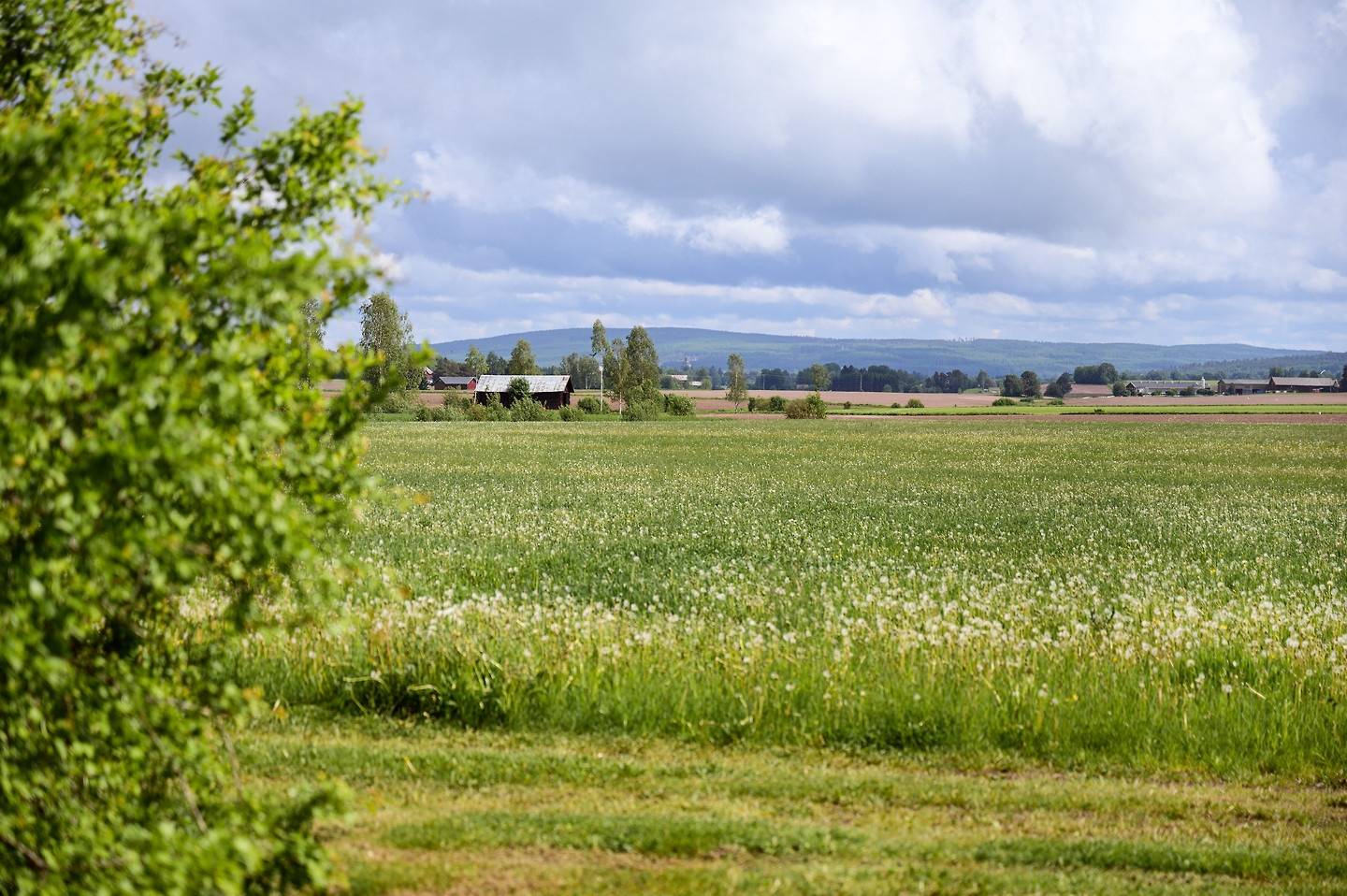 8 rum Gård utan jordbruk på Gussarvshyttan 56 Stora Skedvi Säters kommun - bild 17